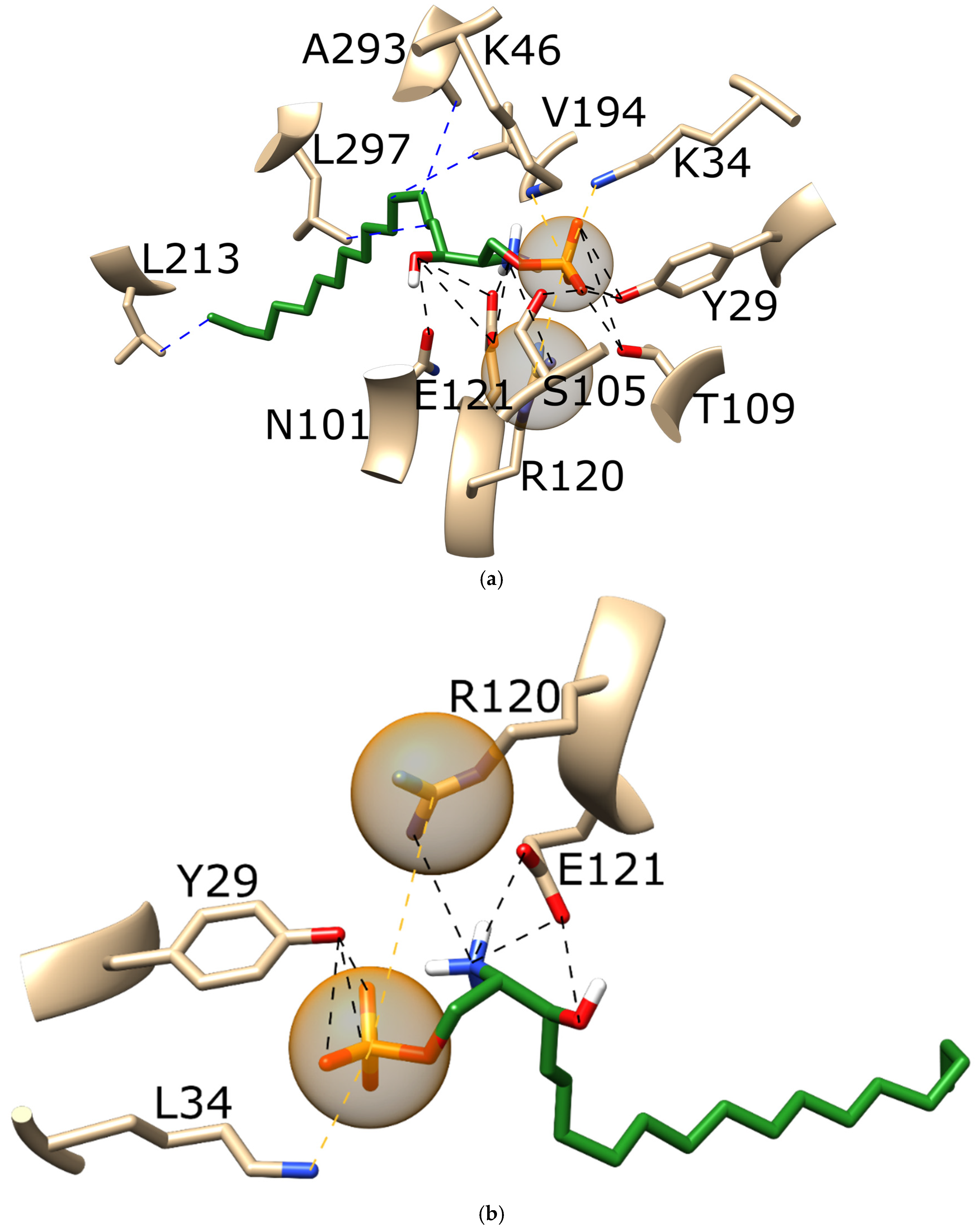 Pharmaceutics 16 01413 g004