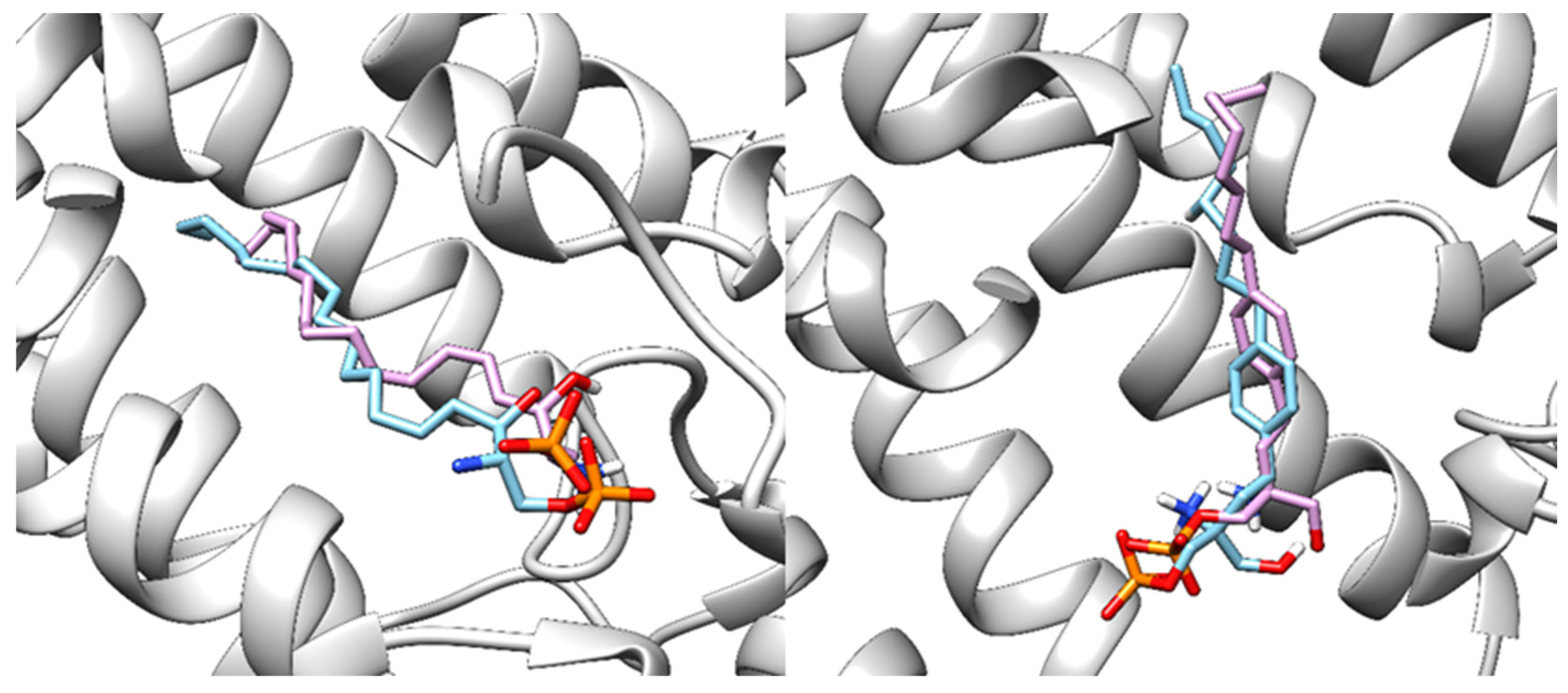 Pharmaceutics 16 01413 g006