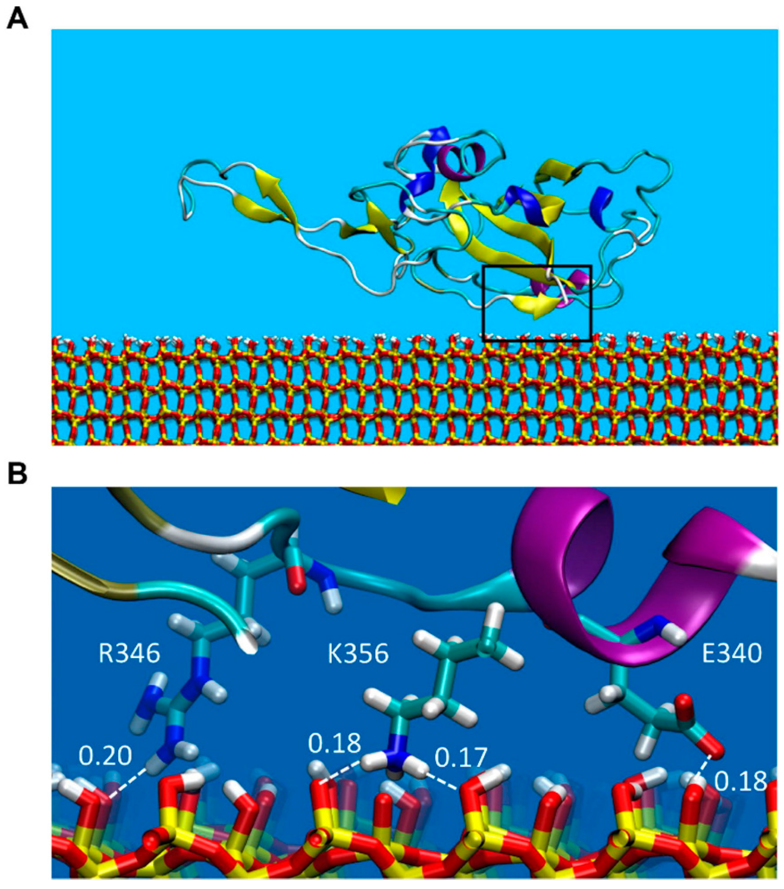Pharmaceutics 16 01419 g003