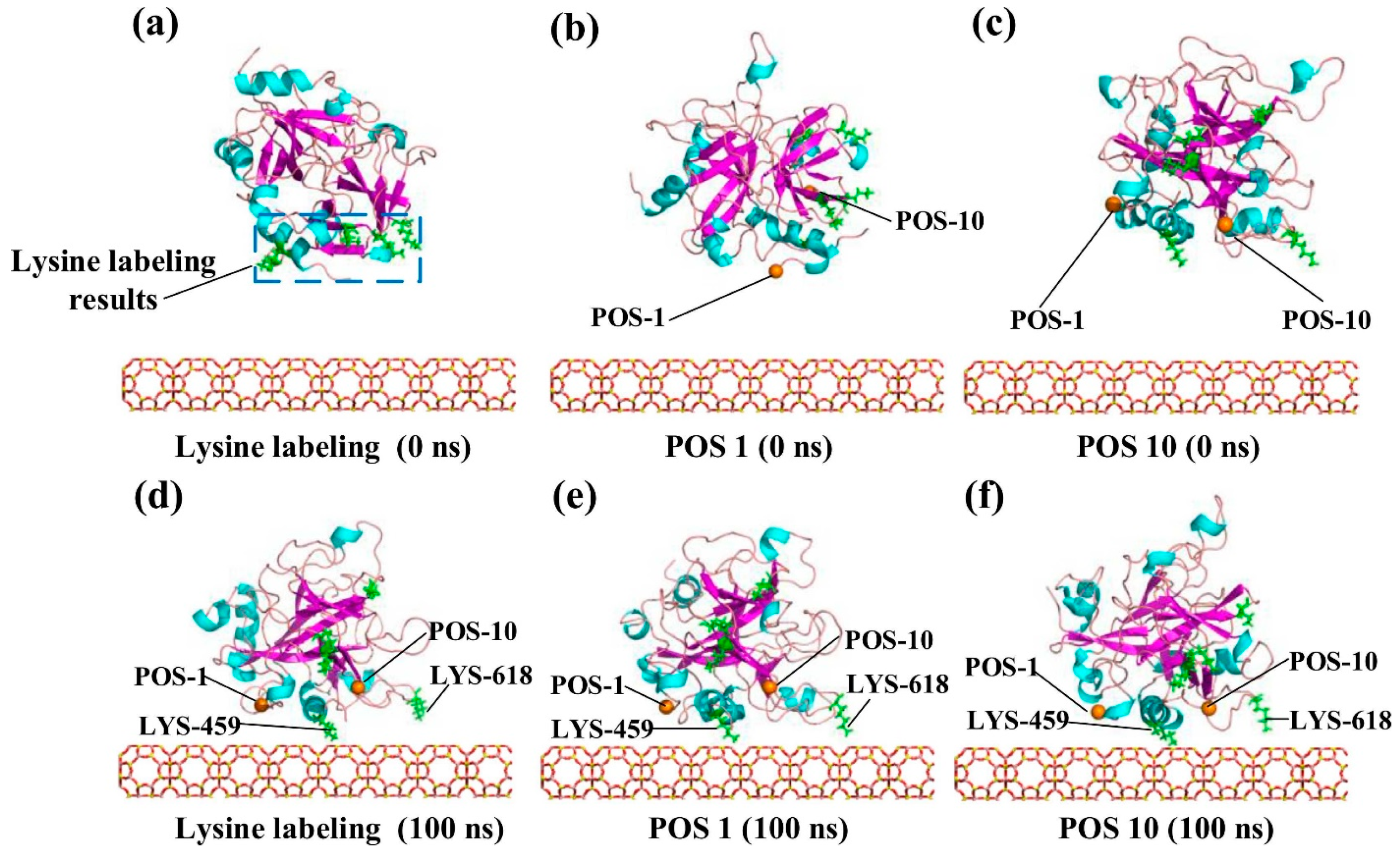 Pharmaceutics 16 01419 g004