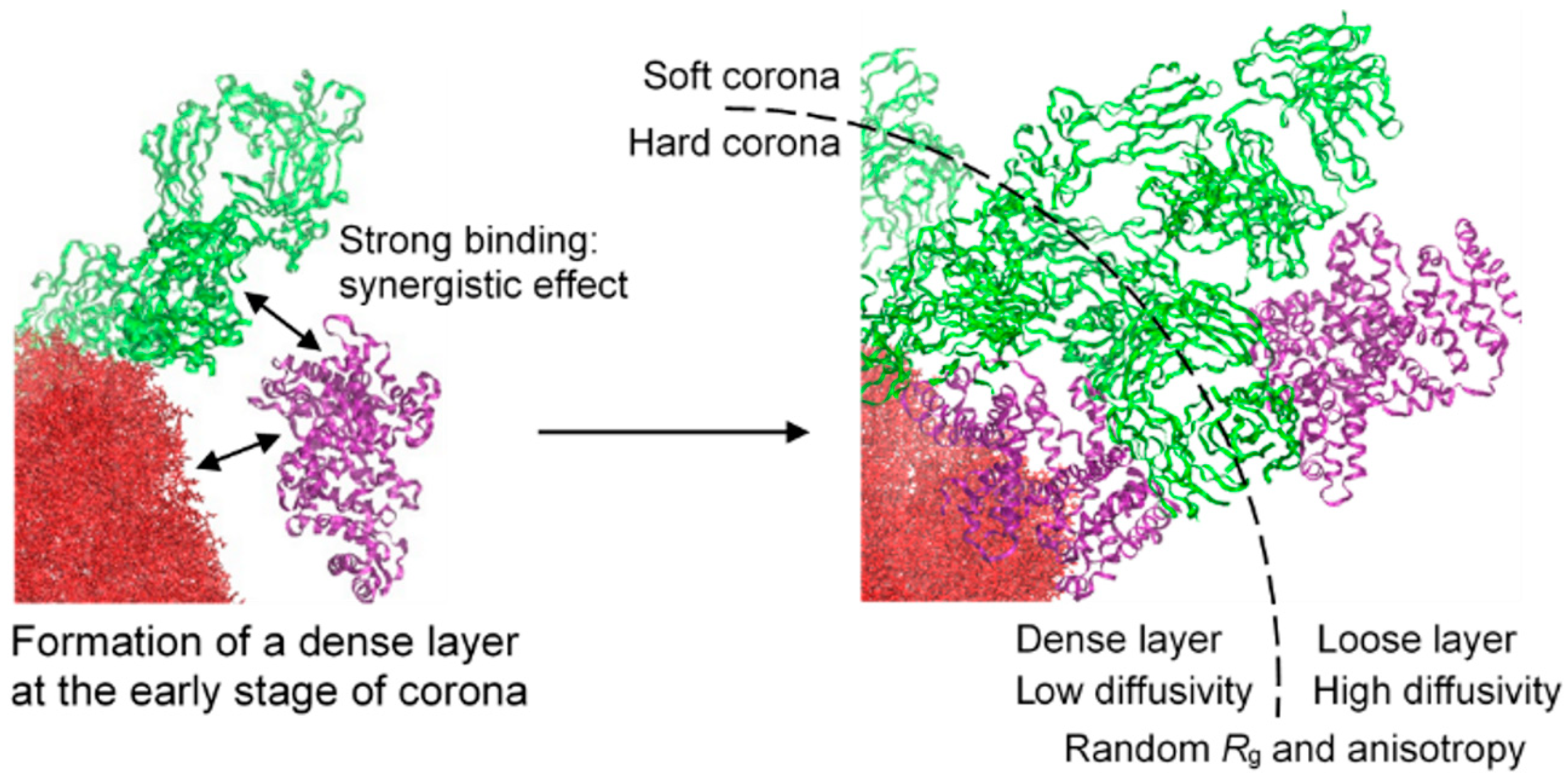 Pharmaceutics 16 01419 g005