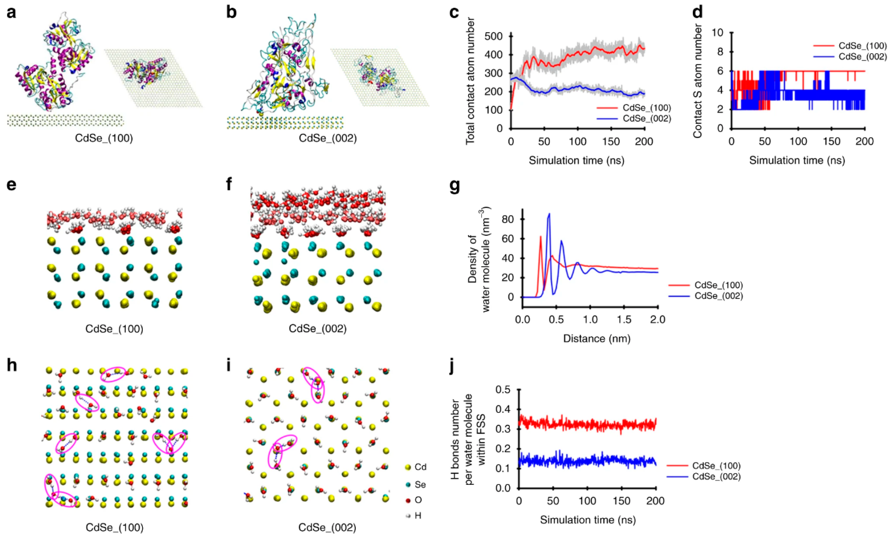 Pharmaceutics 16 01419 g010
