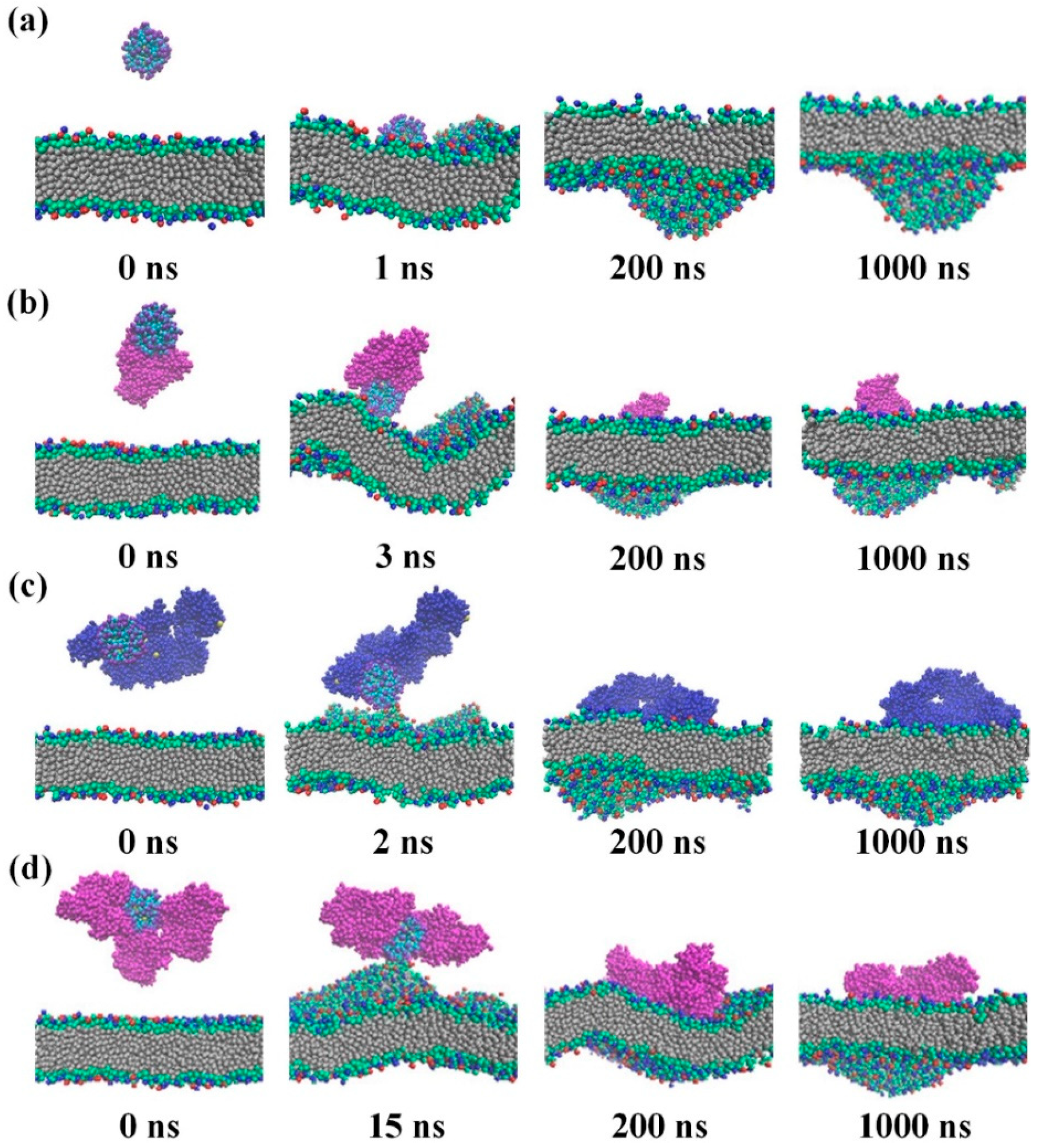 Pharmaceutics 16 01419 g012