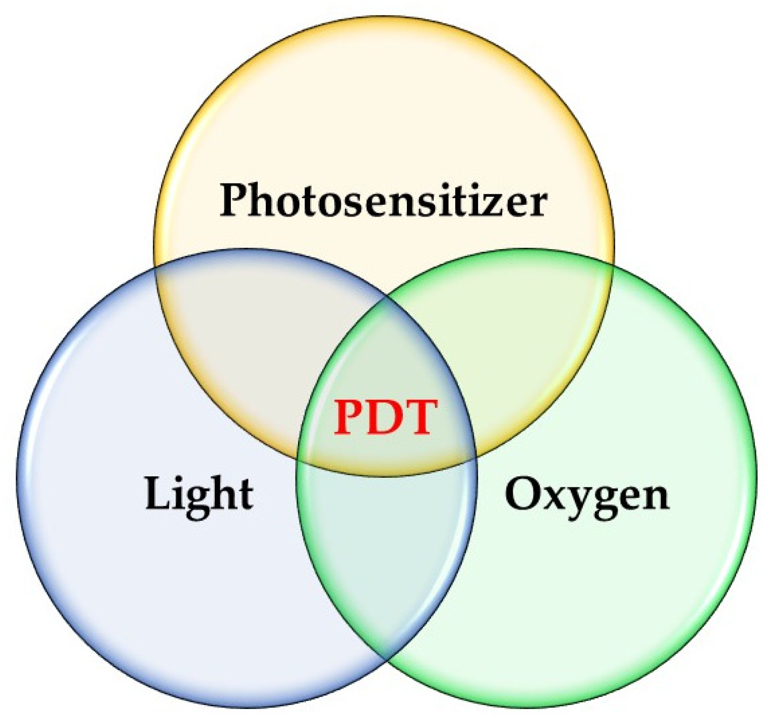 Pharmaceutics 16 01420 g001 Pharmaceutics 16 01420 g001