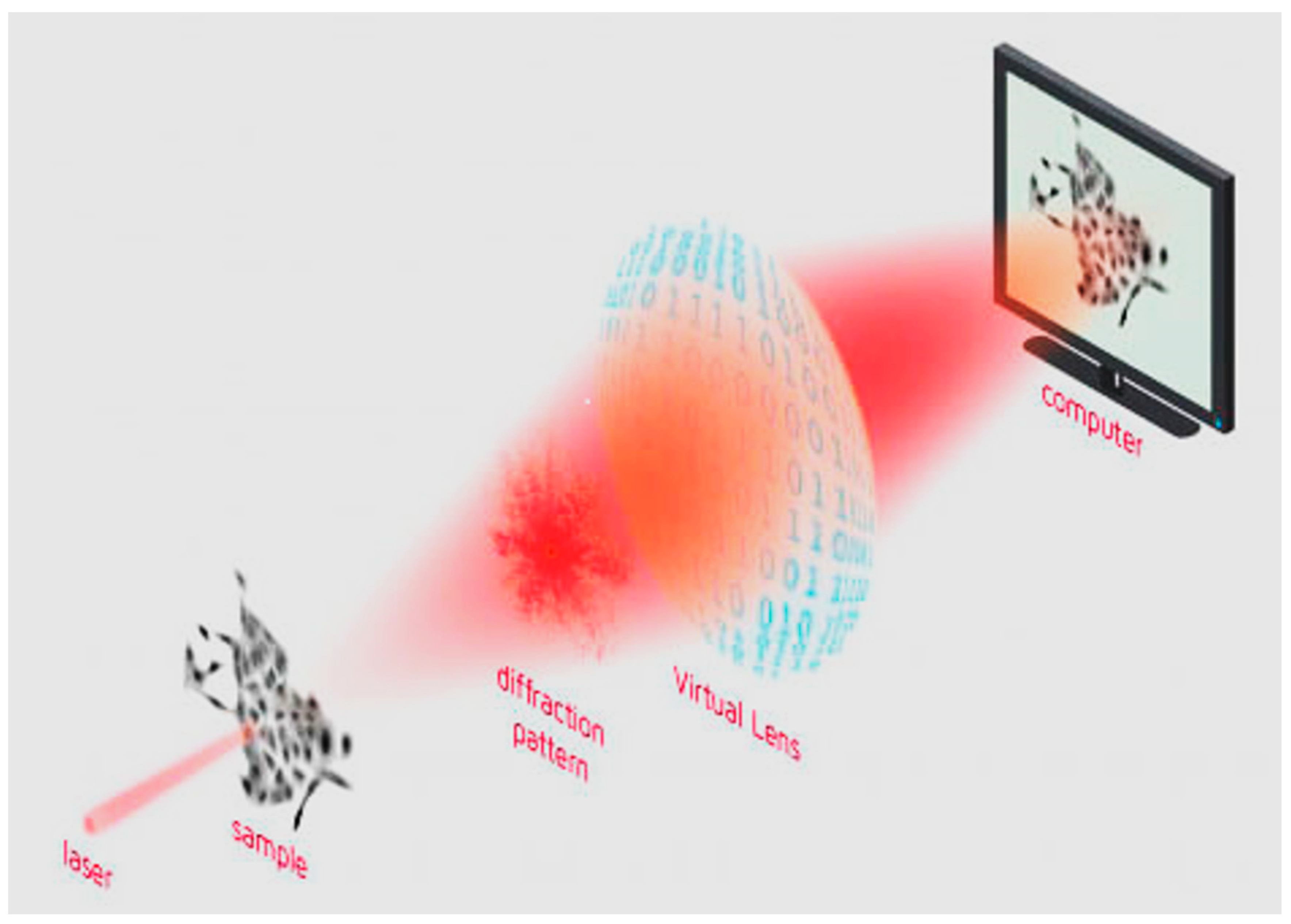 Pharmaceutics 16 01421 g001