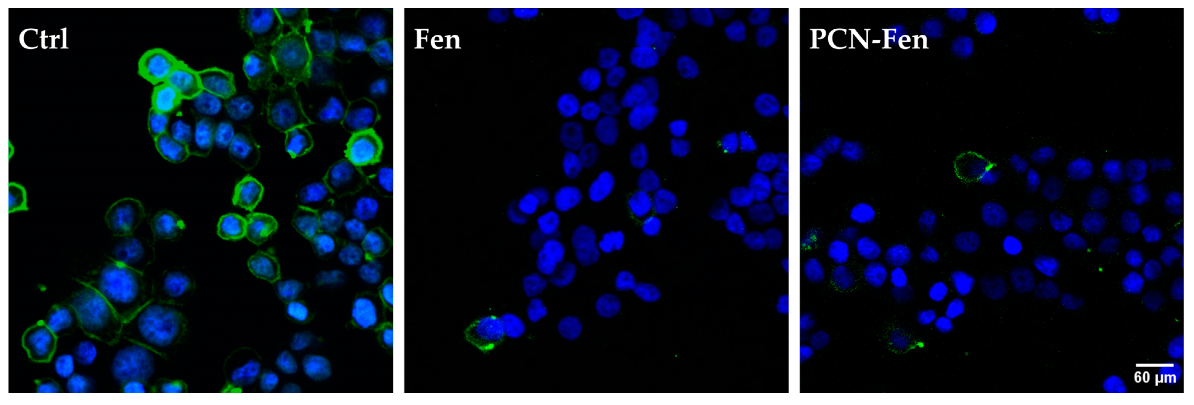 Pharmaceutics 16 01421 g008