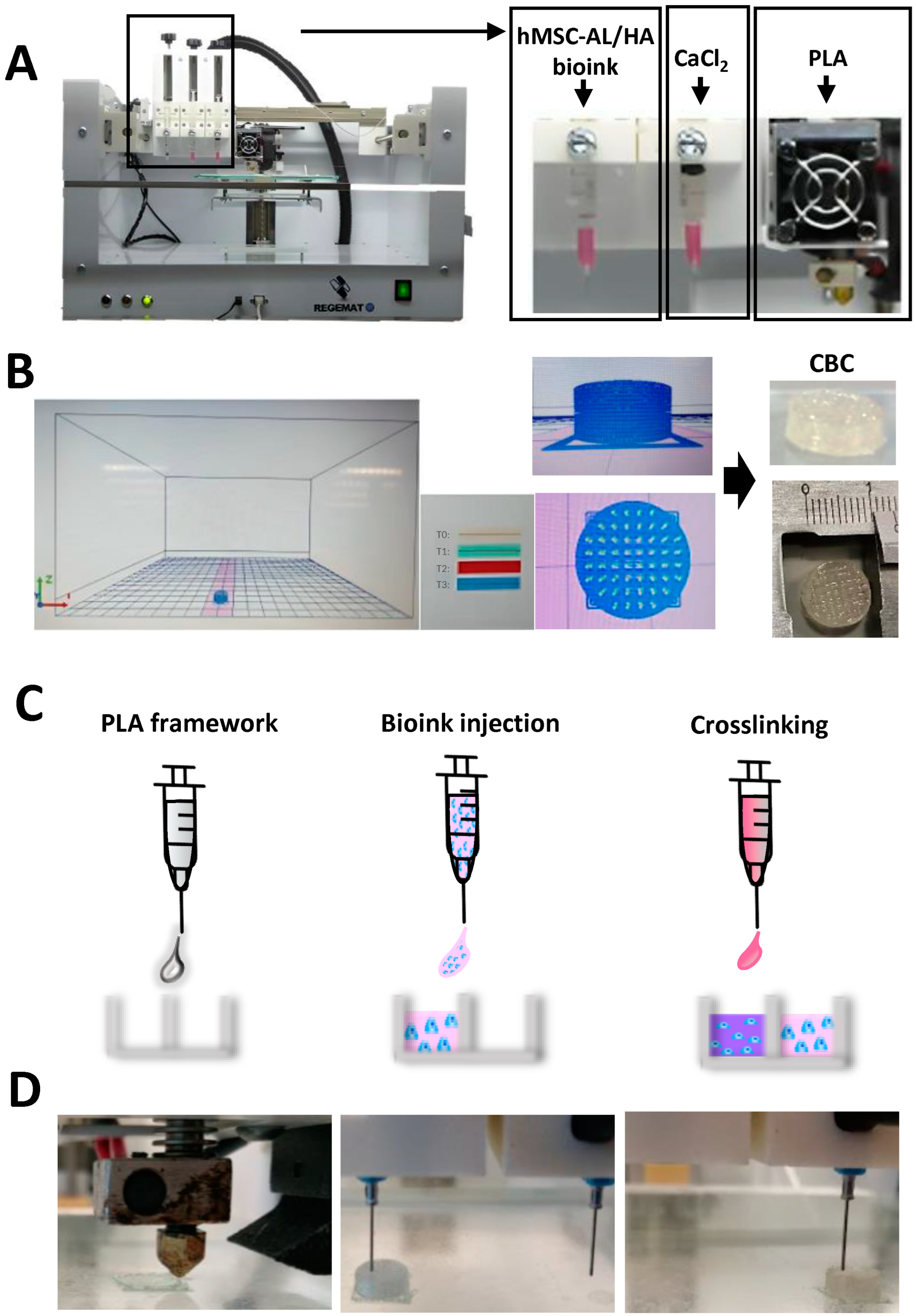 Pharmaceutics 16 01422 g001