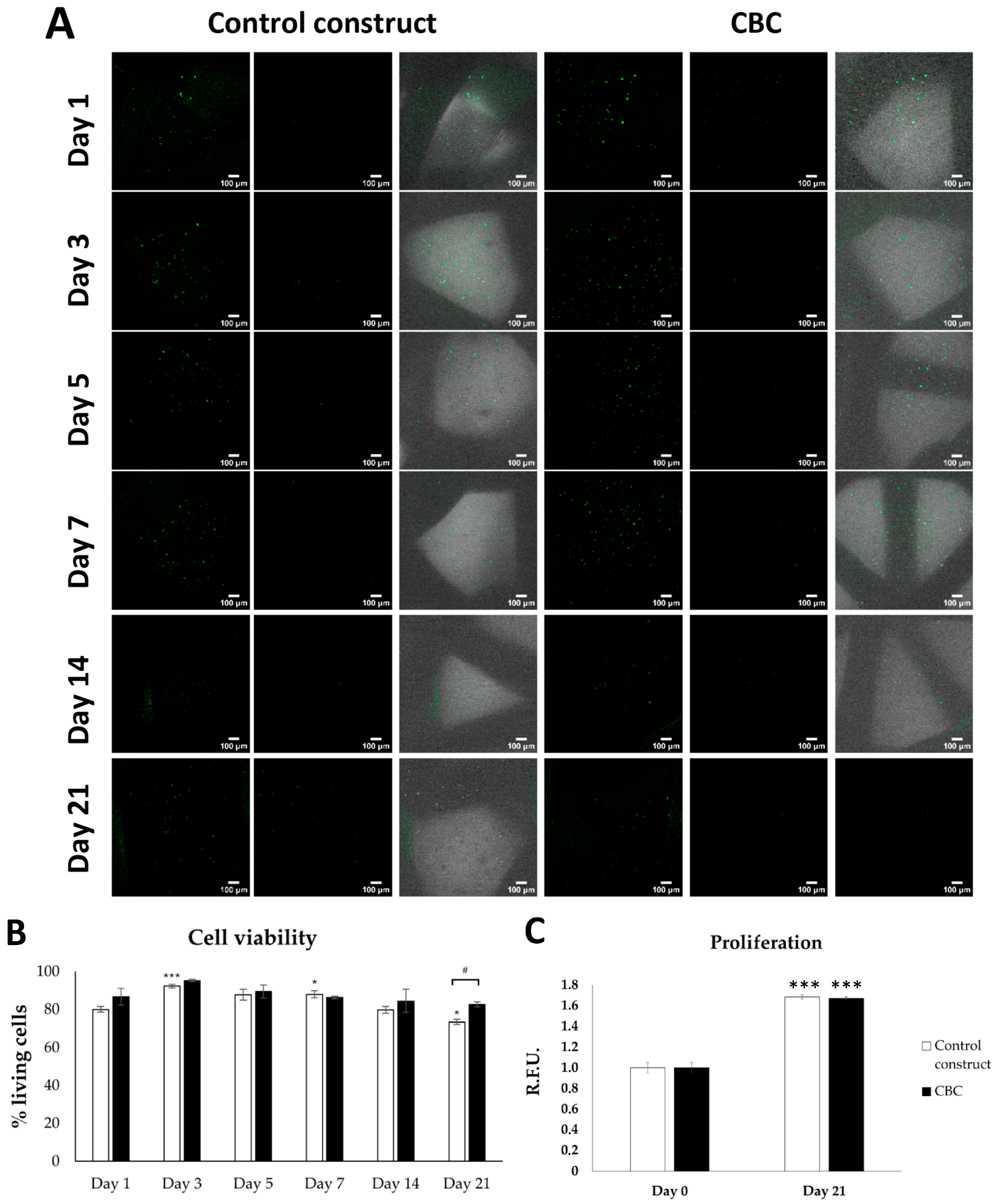 Pharmaceutics 16 01422 g004