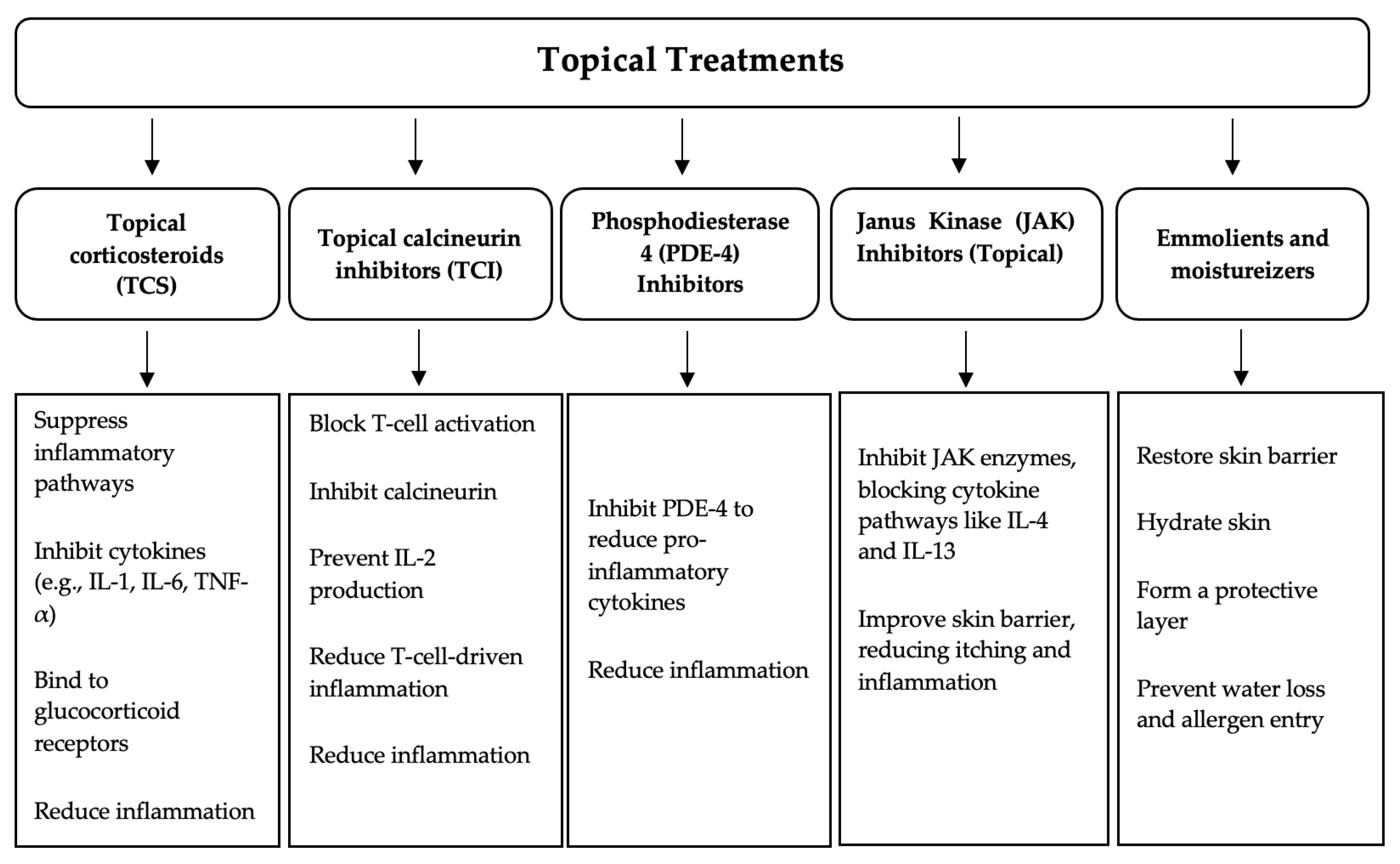 Pharmaceutics 16 01425 g001