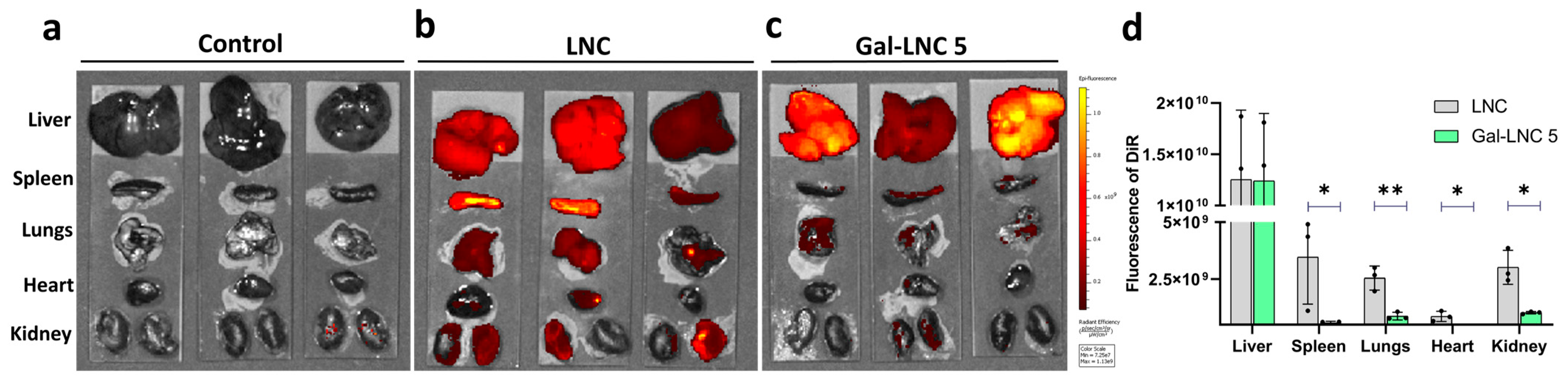 Pharmaceutics 16 01427 g006