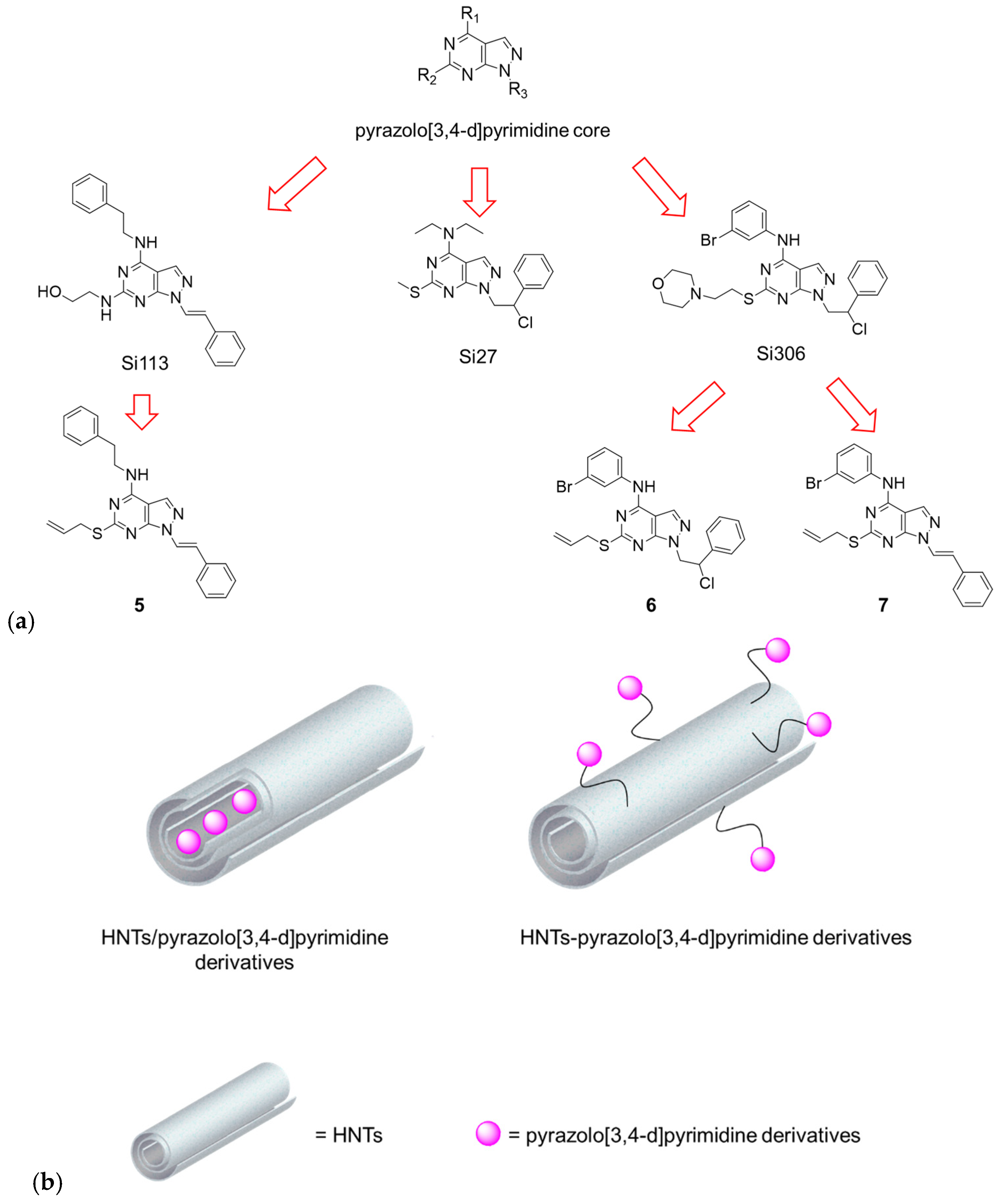 Pharmaceutics 16 01428 g001