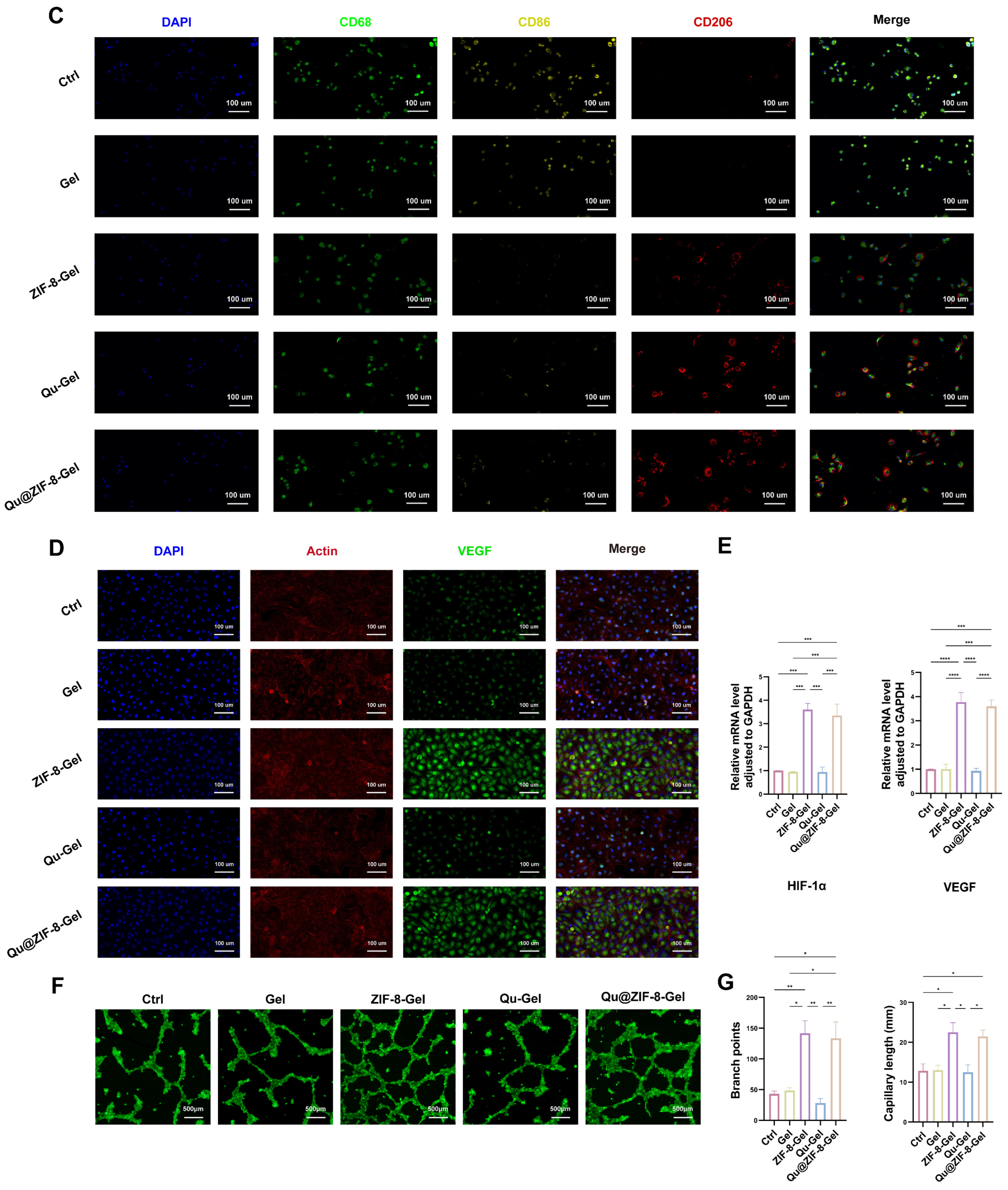 Pharmaceutics 16 01429 g005b