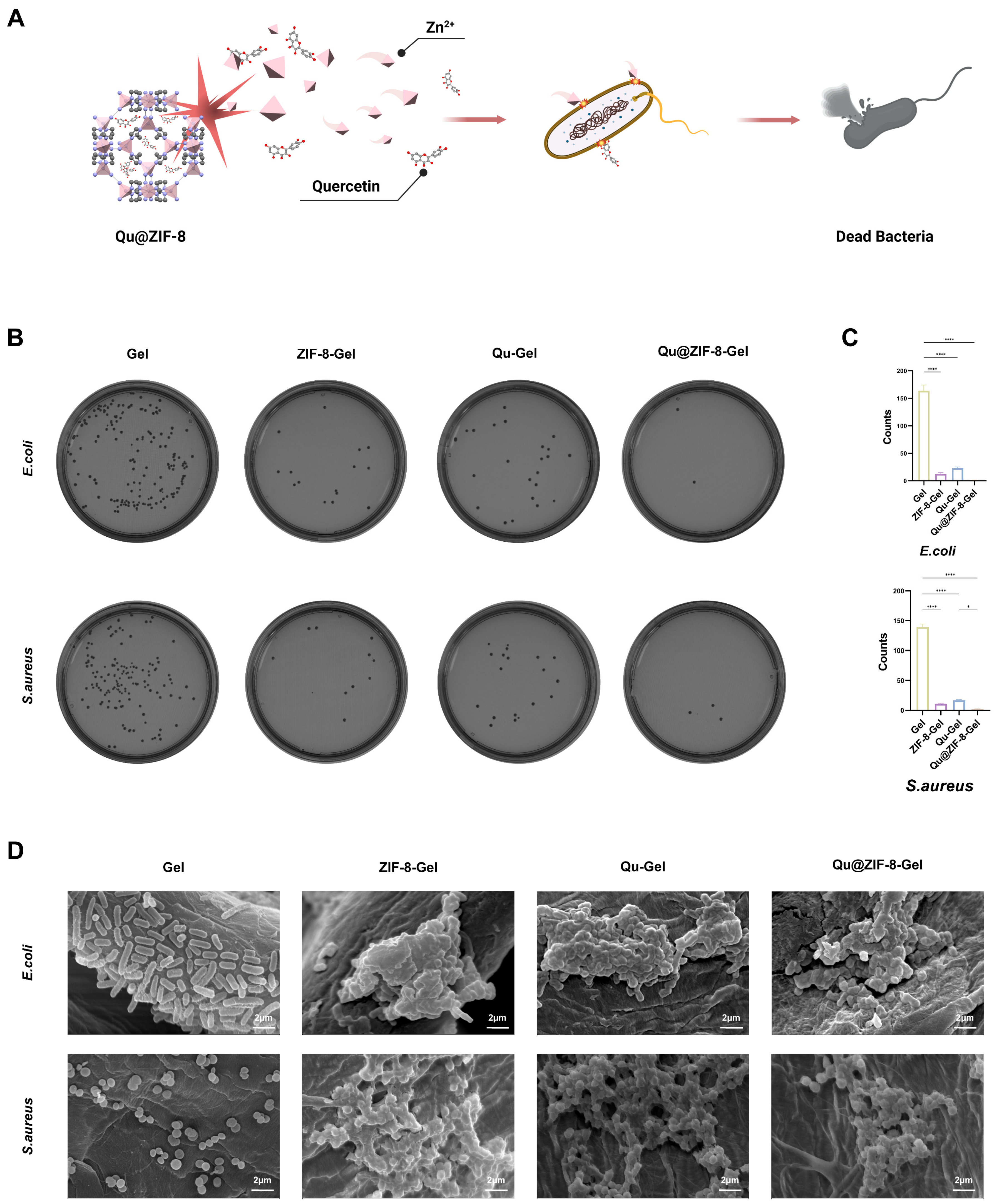 Pharmaceutics 16 01429 g006