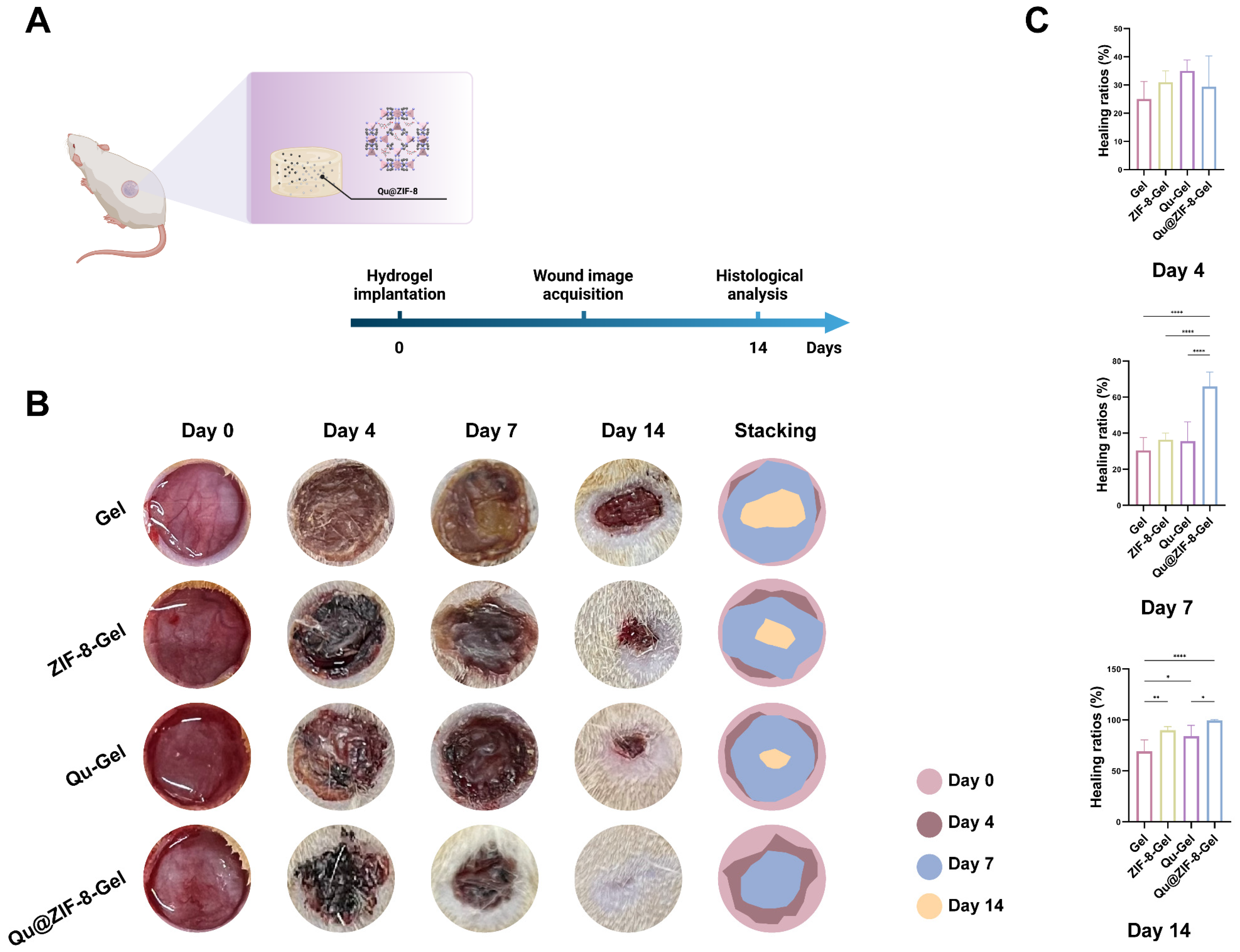 Pharmaceutics 16 01429 g007a