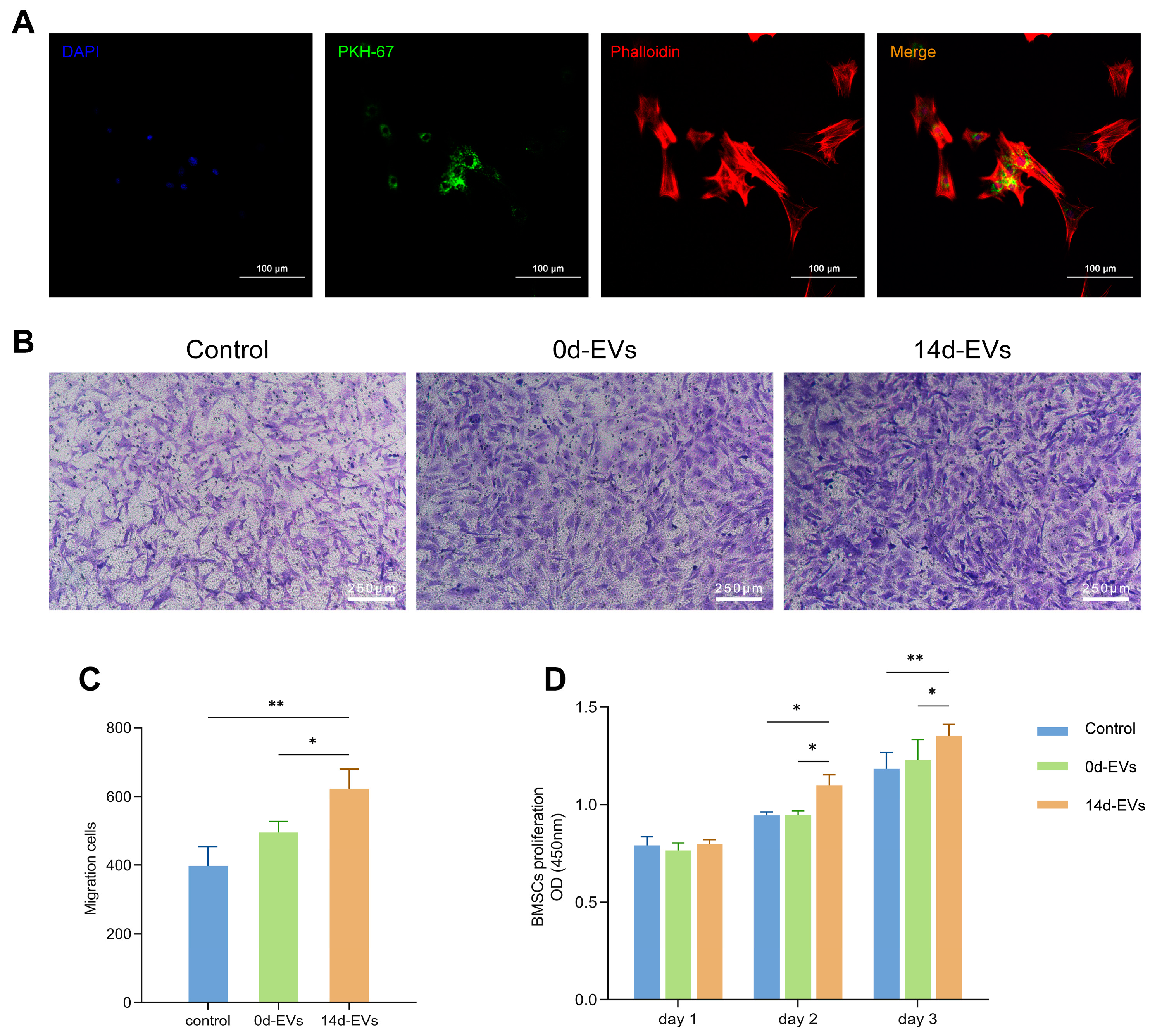 Pharmaceutics 16 01430 g003