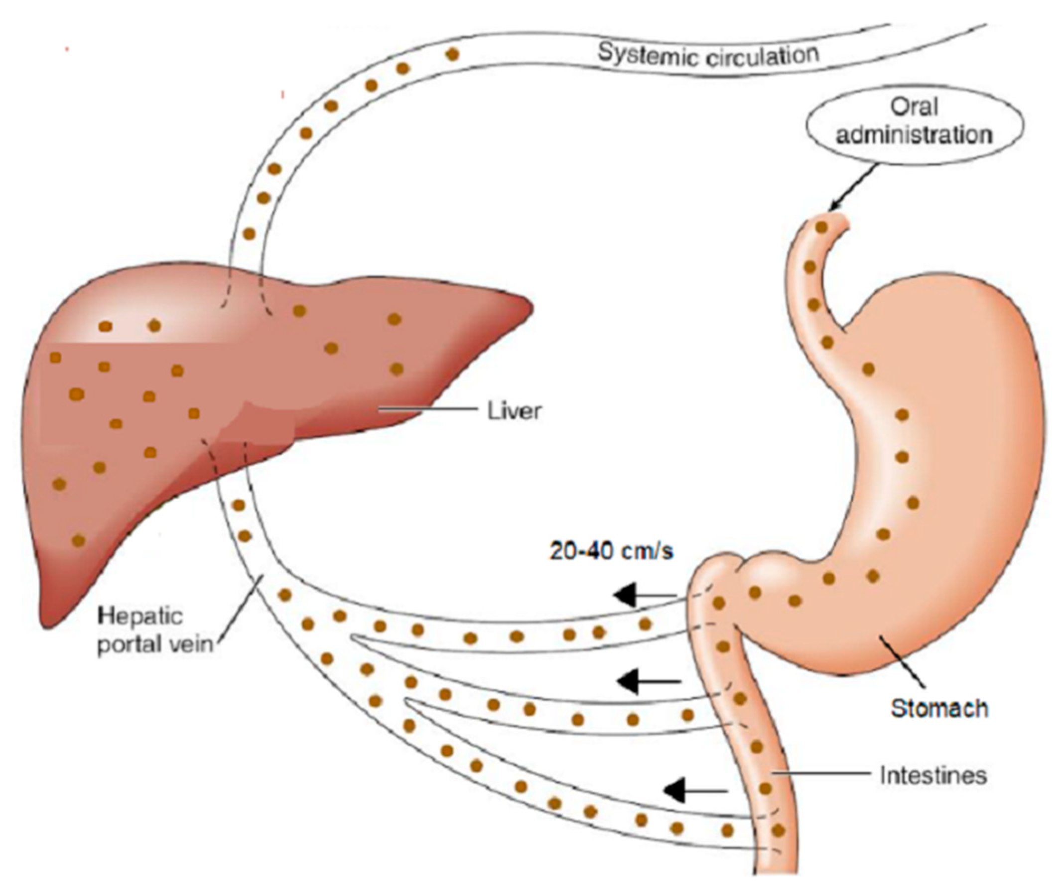 Pharmaceutics 16 01435 g001