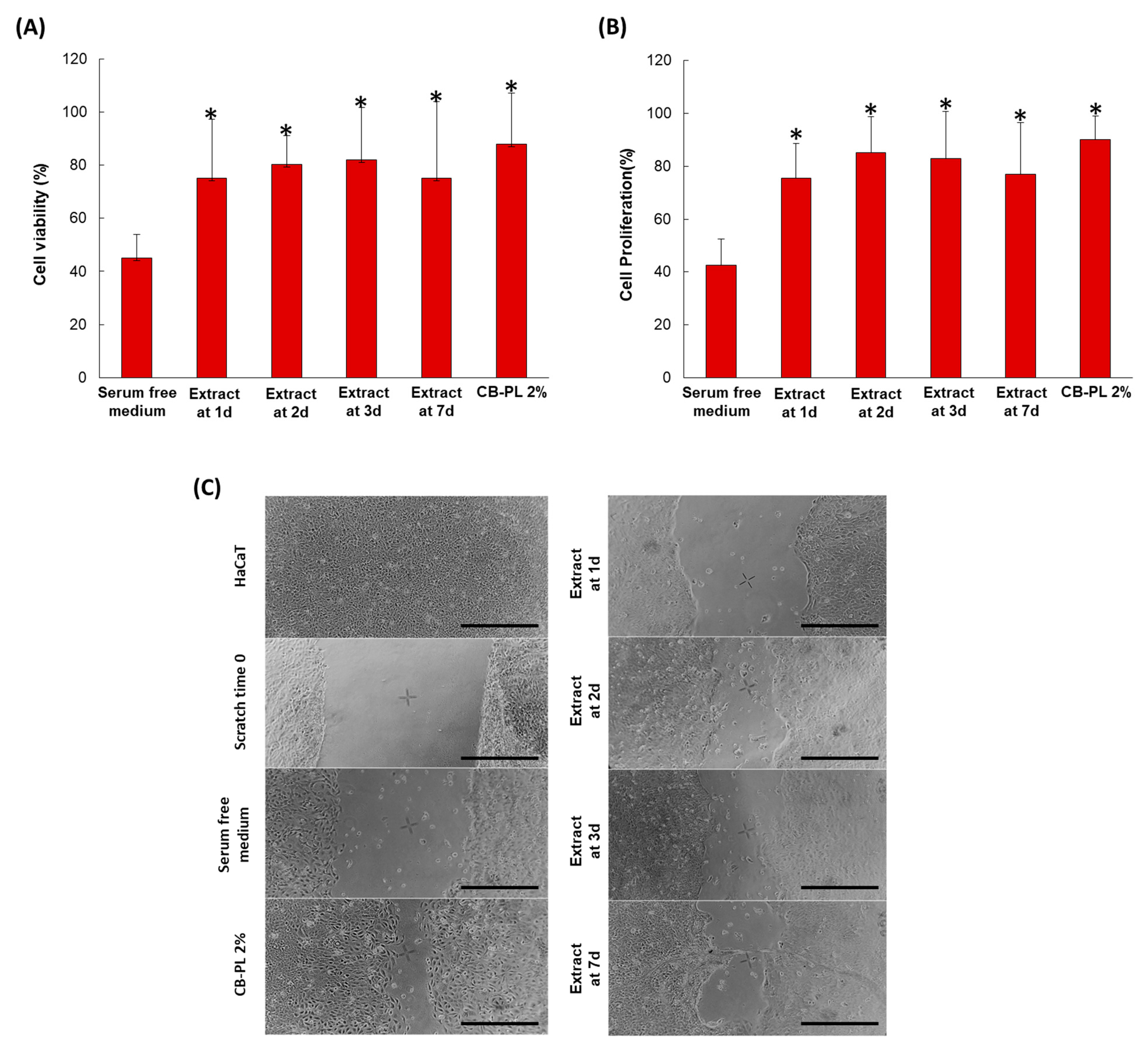 Pharmaceutics 16 01438 g005 Pharmaceutics 16 01438 g005