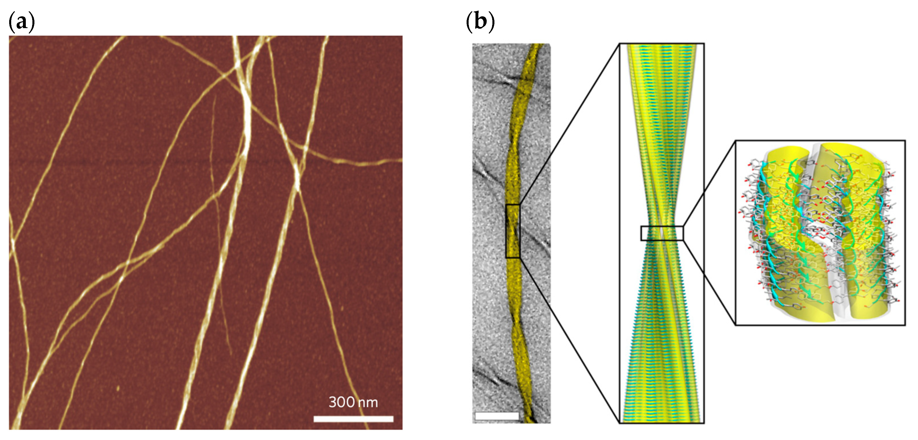 Pharmaceutics 16 01442 g001a Pharmaceutics 16 01442 g001a