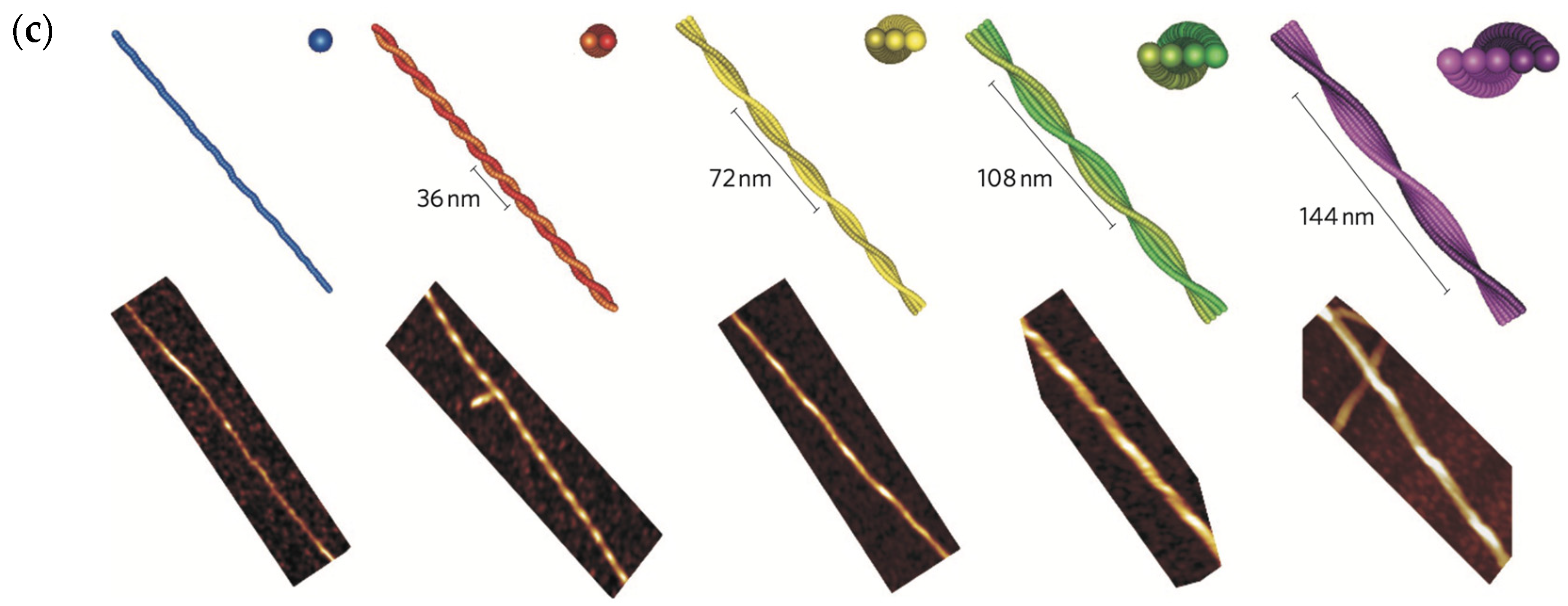 Pharmaceutics 16 01442 g001b Pharmaceutics 16 01442 g001b