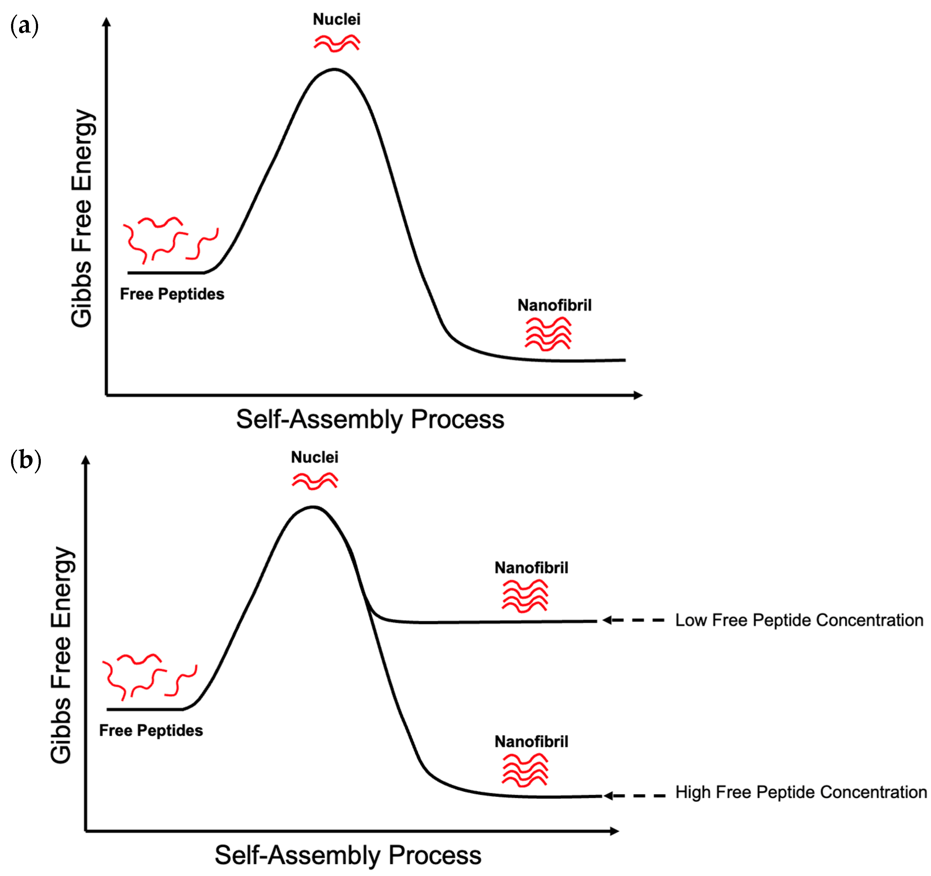 Pharmaceutics 16 01442 g003 Pharmaceutics 16 01442 g003