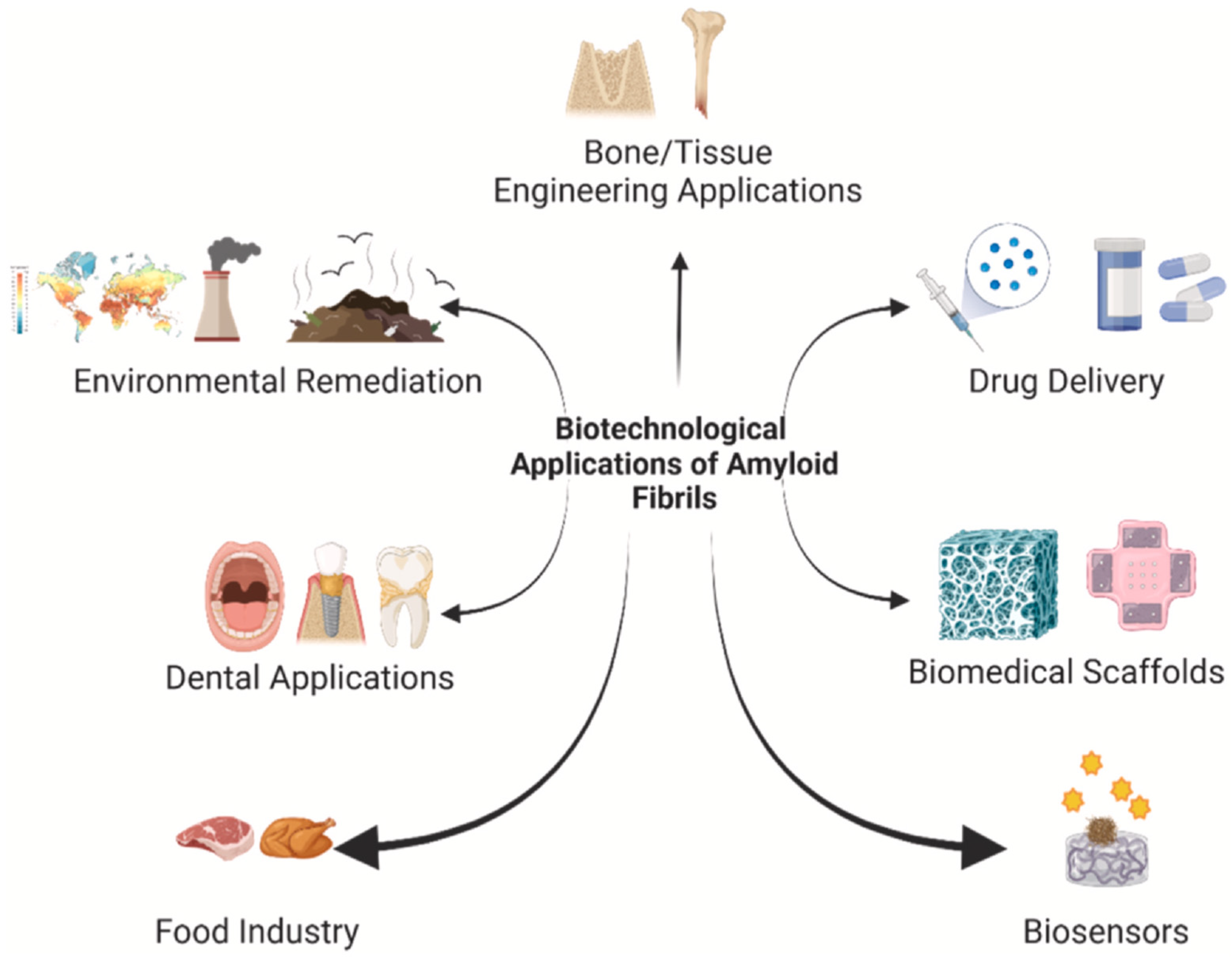 Pharmaceutics 16 01442 g005 Pharmaceutics 16 01442 g005