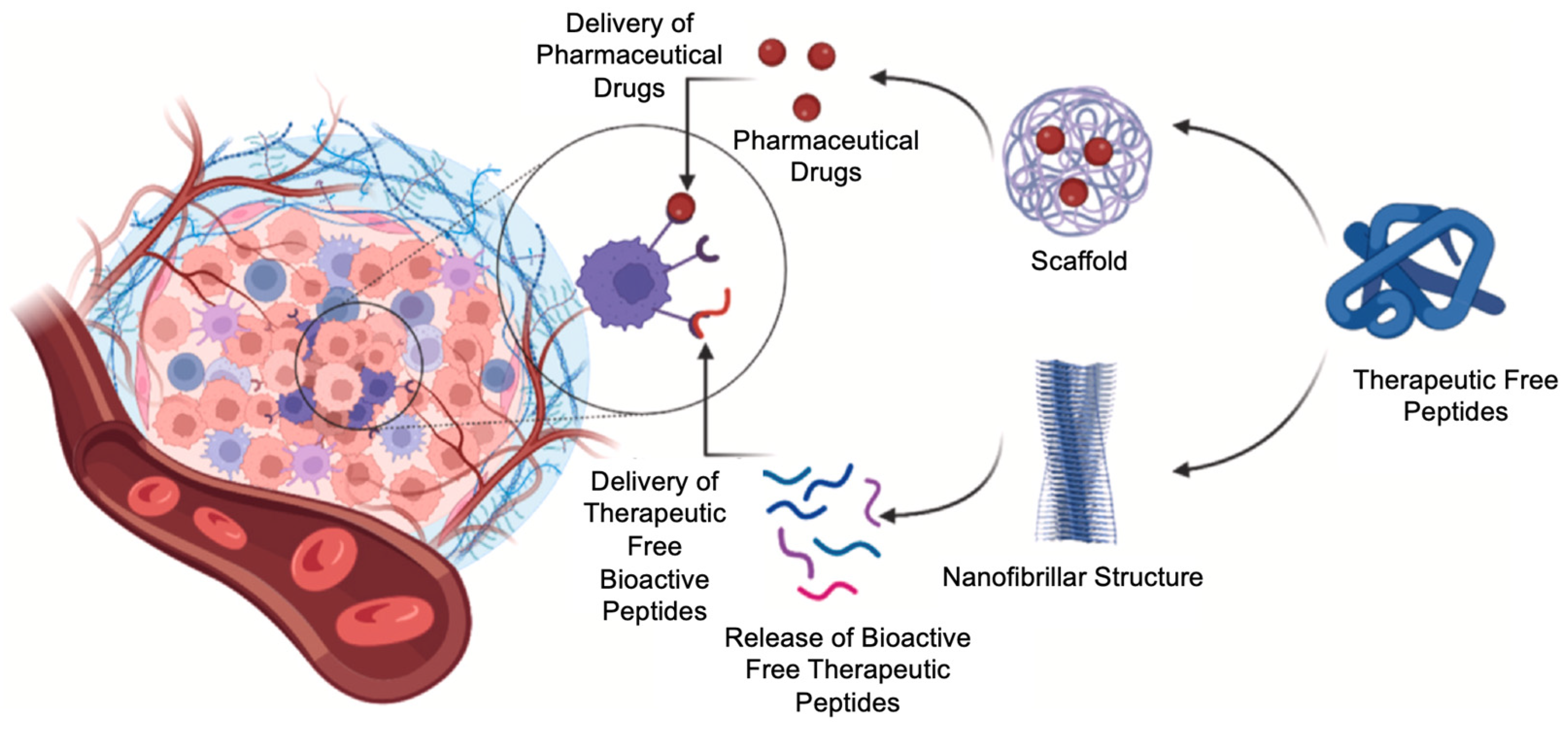 Pharmaceutics 16 01442 g006 Pharmaceutics 16 01442 g006