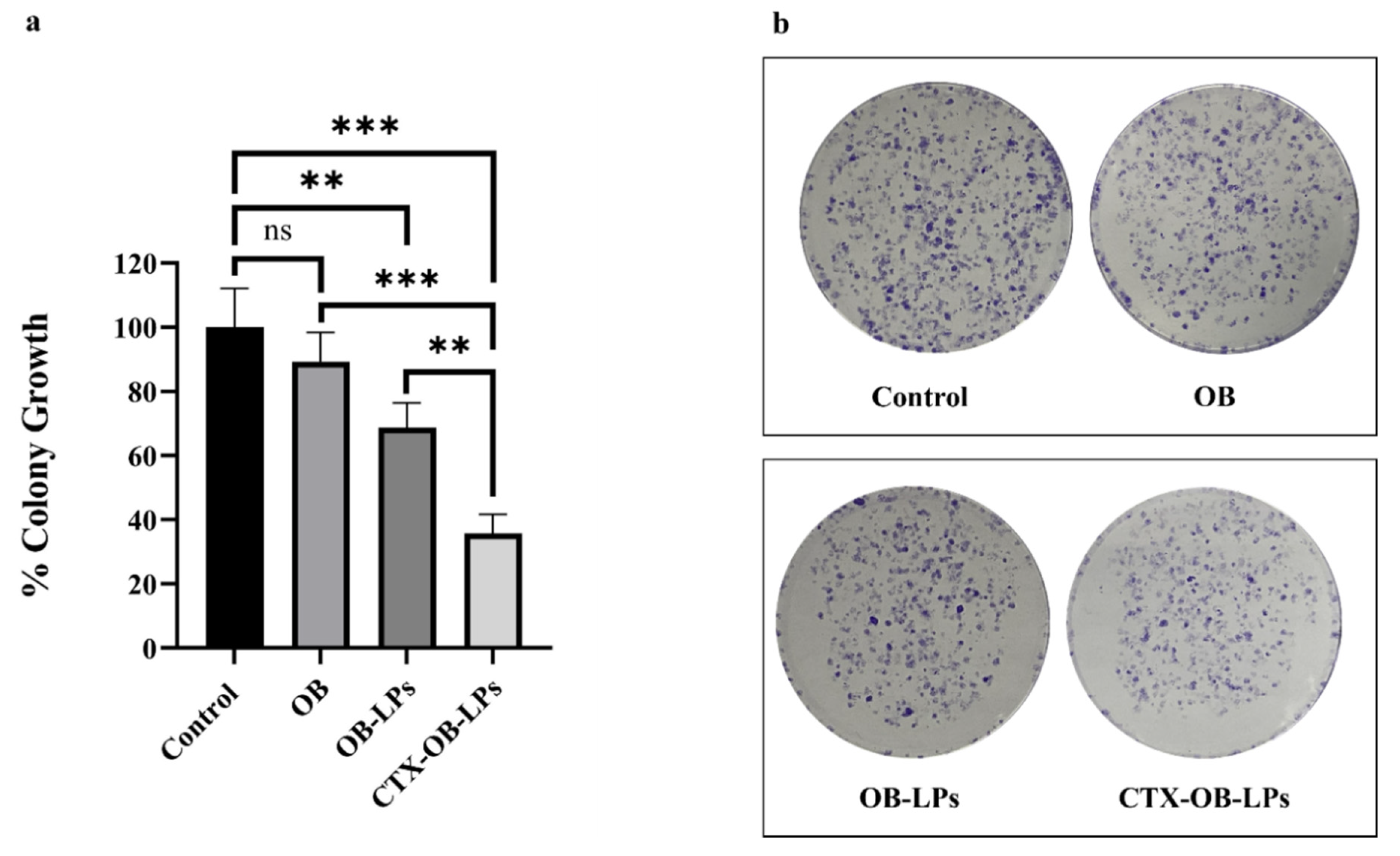Pharmaceutics 16 01444 g006