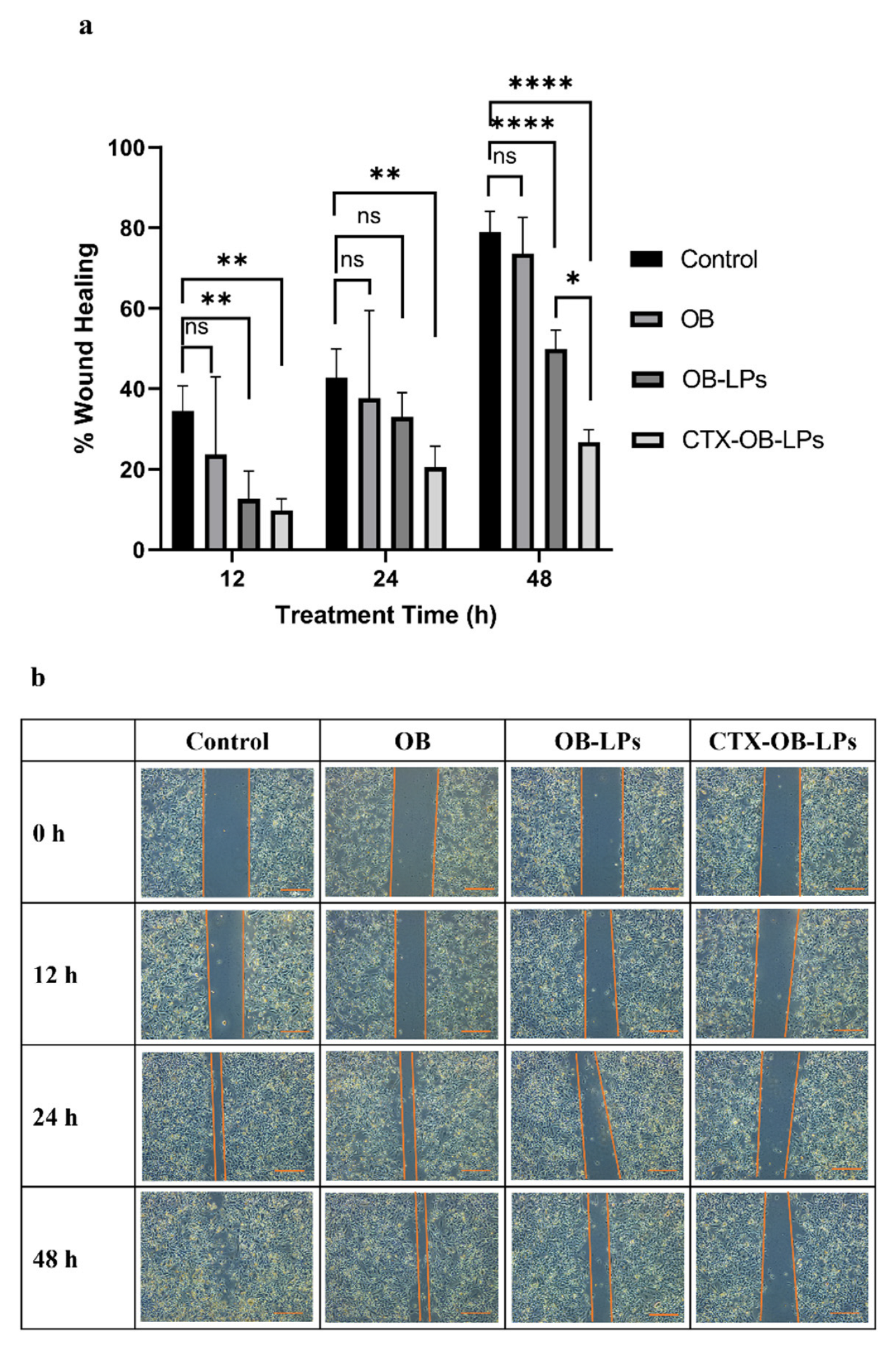 Pharmaceutics 16 01444 g007