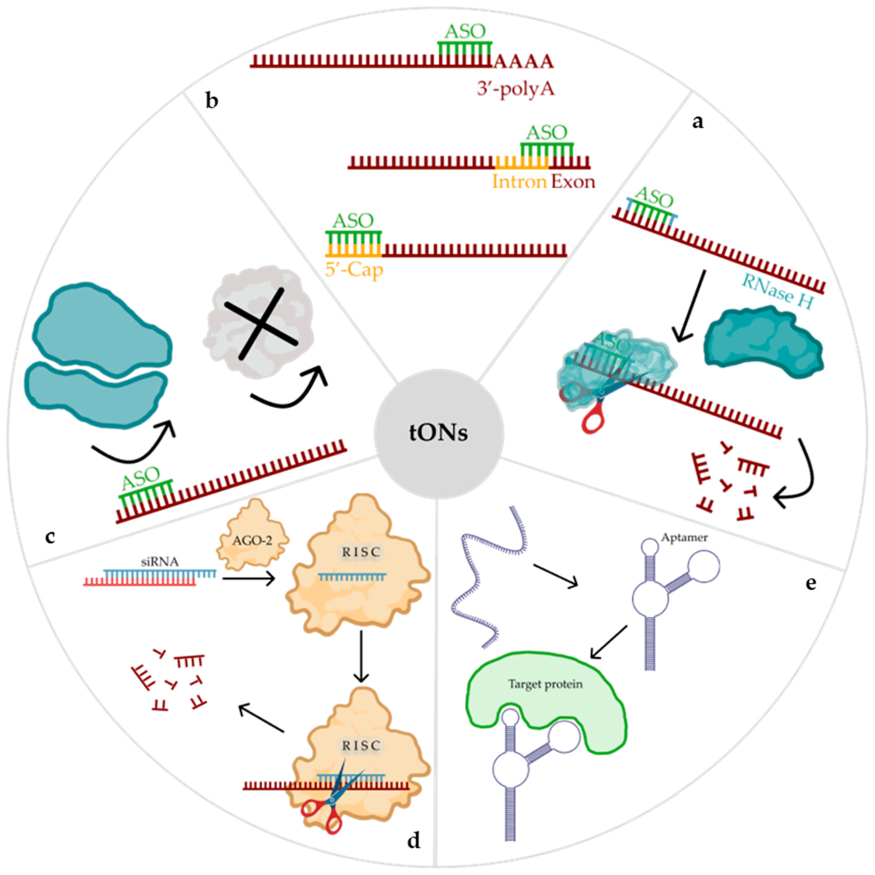 Pharmaceutics 16 01447 g001