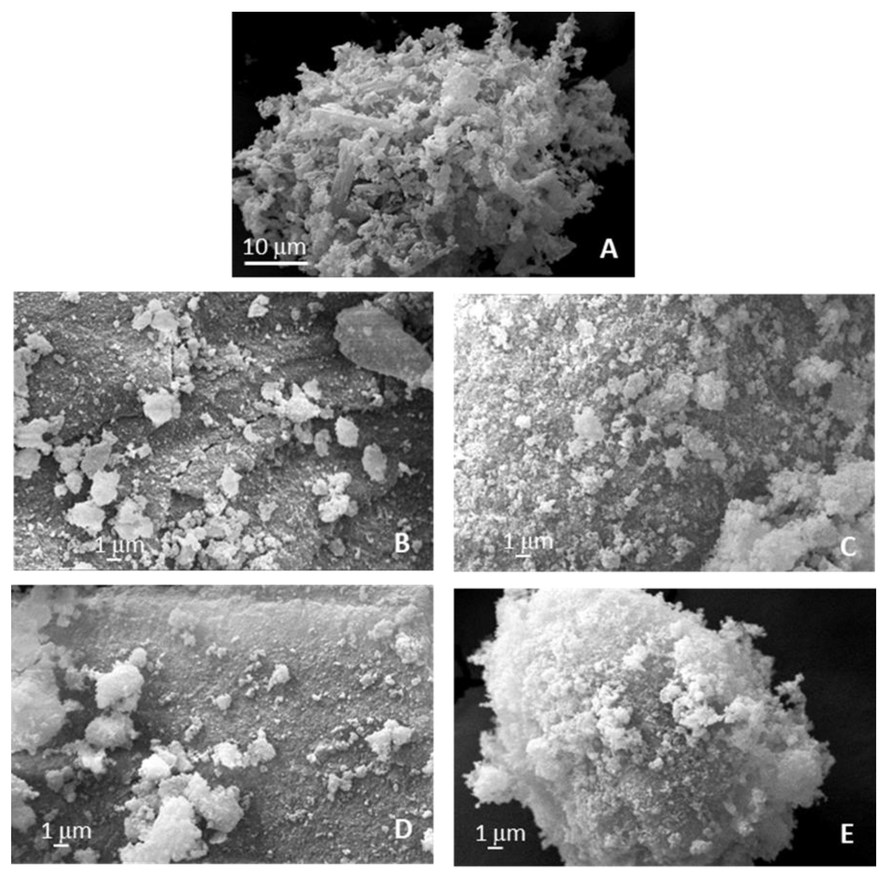 Pharmaceutics 16 01450 g004