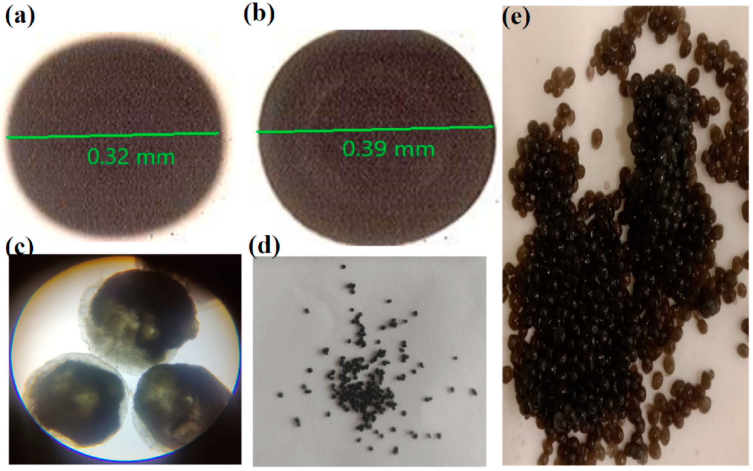 Pharmaceutics 16 01451 g001 Pharmaceutics 16 01451 g001