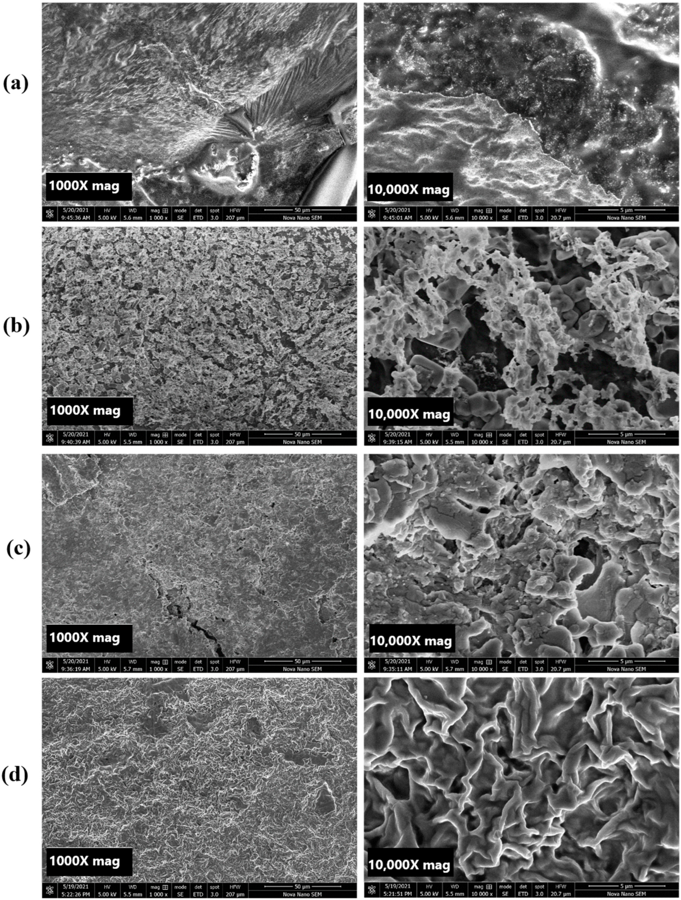 Pharmaceutics 16 01451 g002 Pharmaceutics 16 01451 g002
