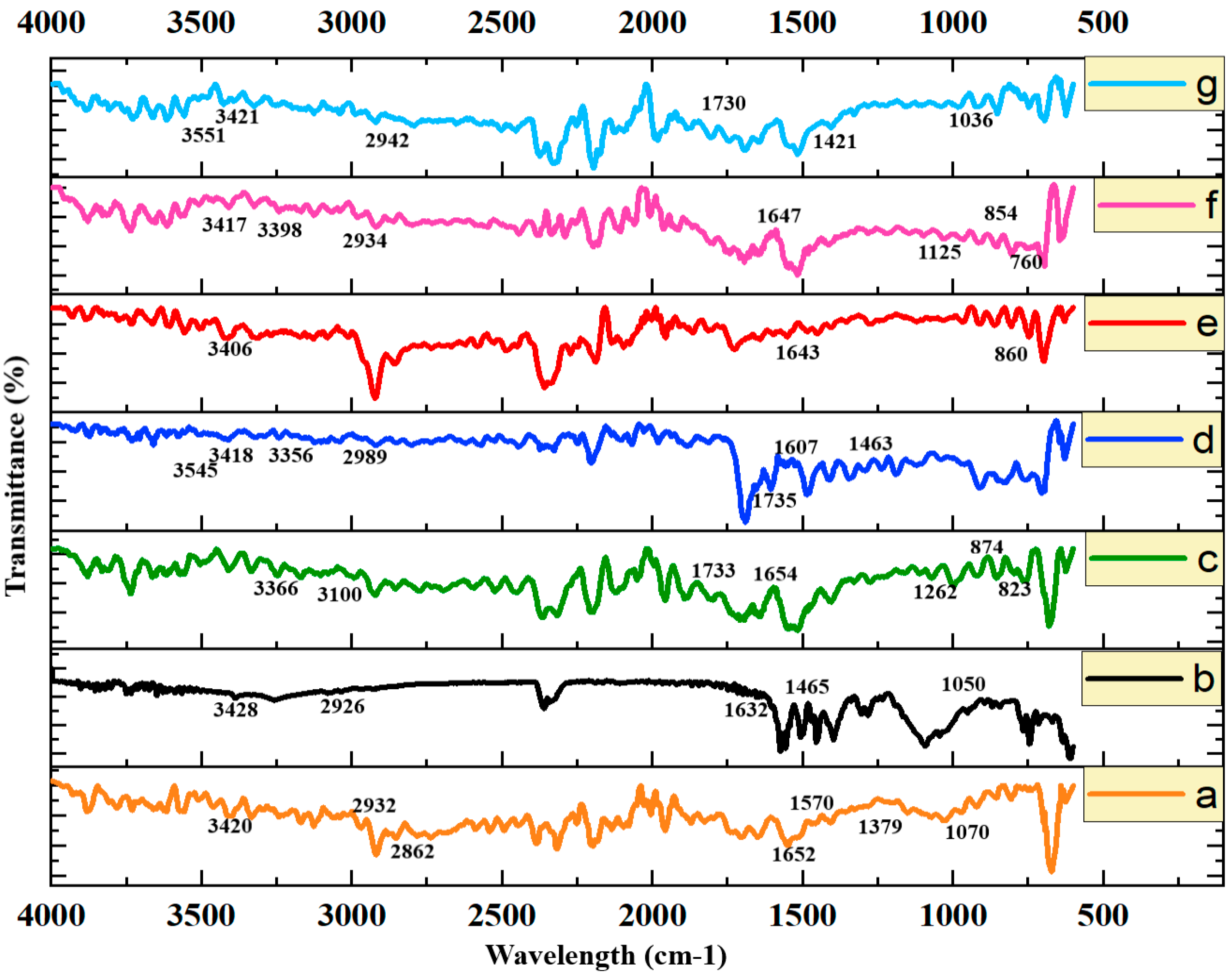 Pharmaceutics 16 01451 g006 Pharmaceutics 16 01451 g006