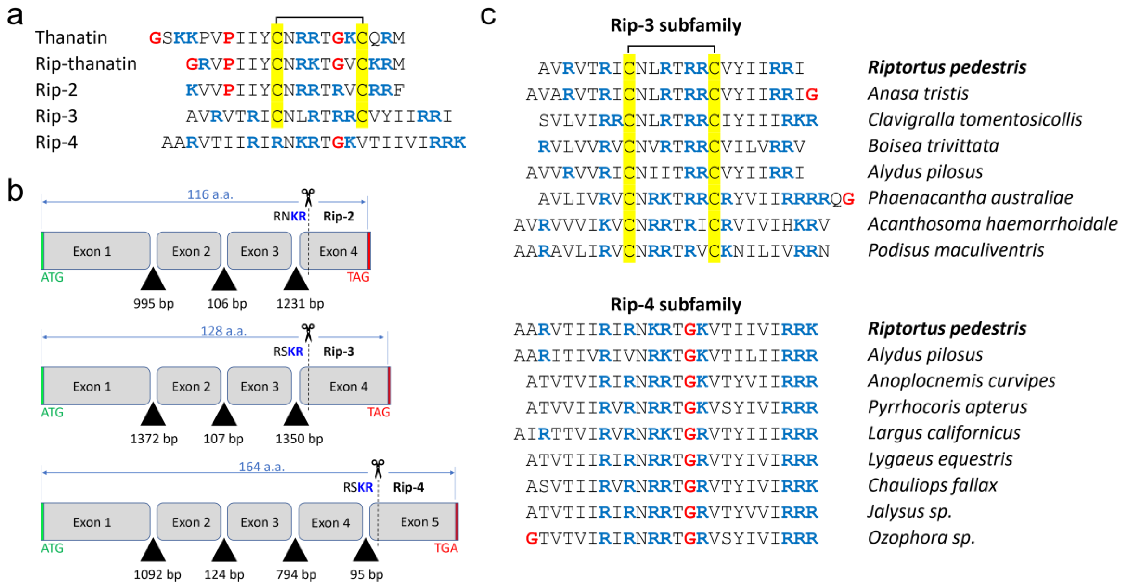 Pharmaceutics 16 01453 g001