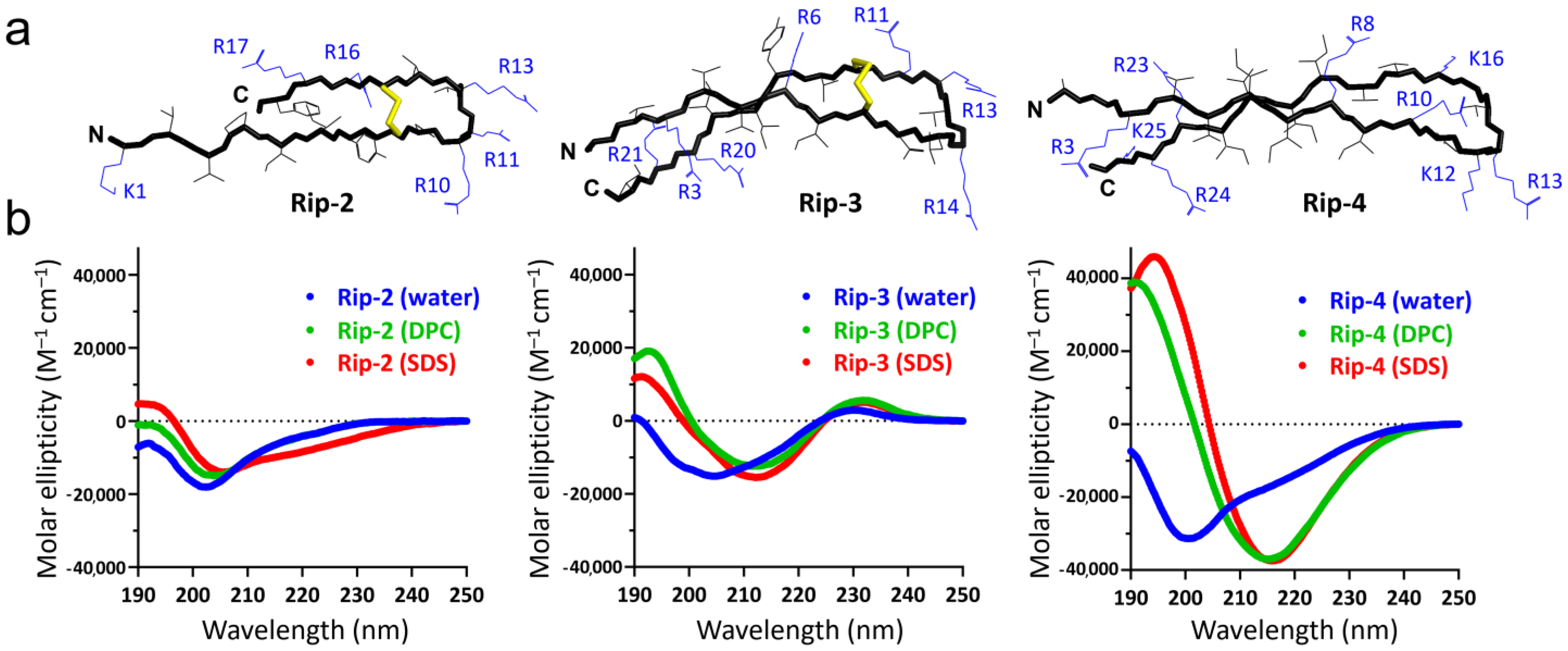 Pharmaceutics 16 01453 g002
