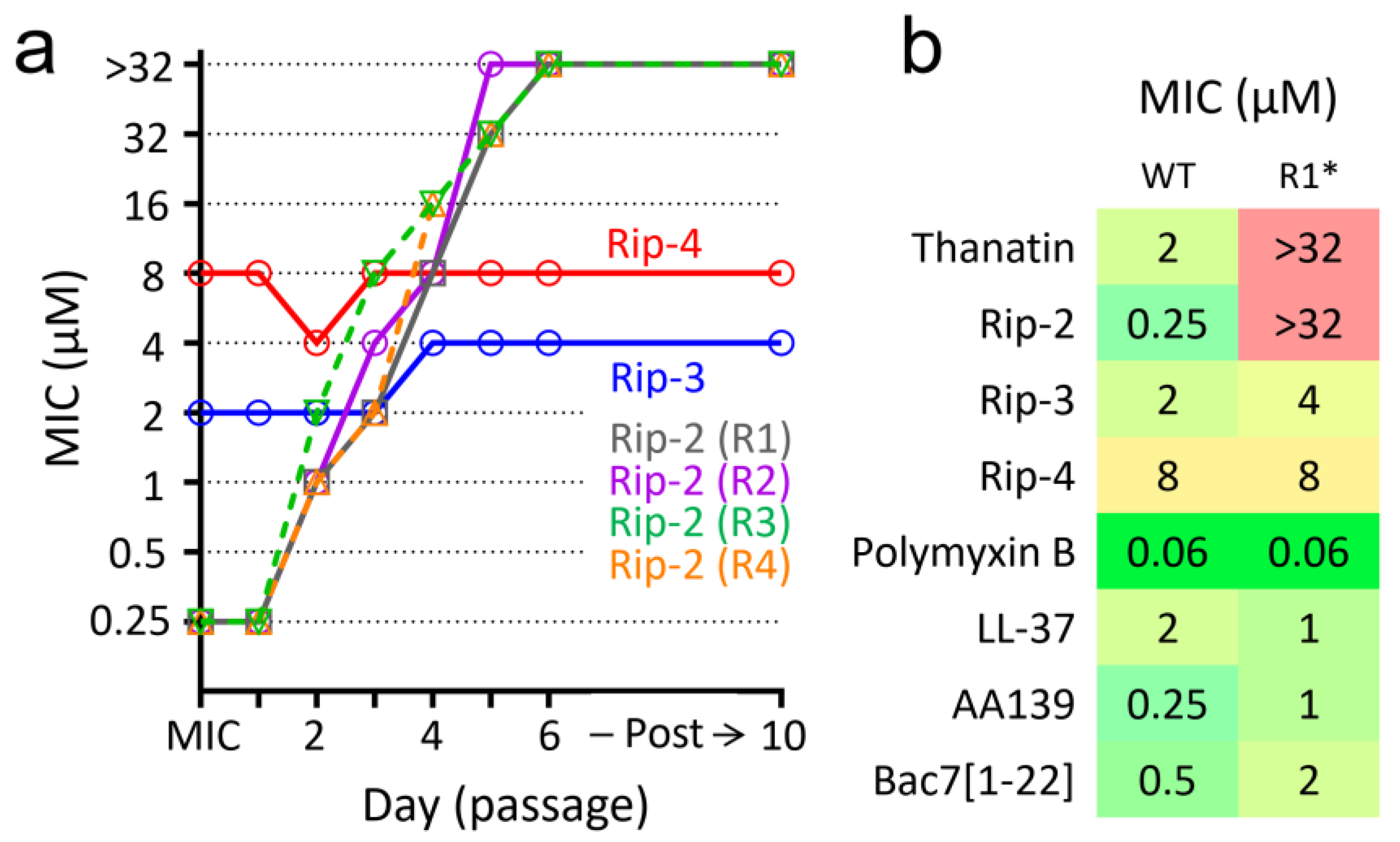 Pharmaceutics 16 01453 g004