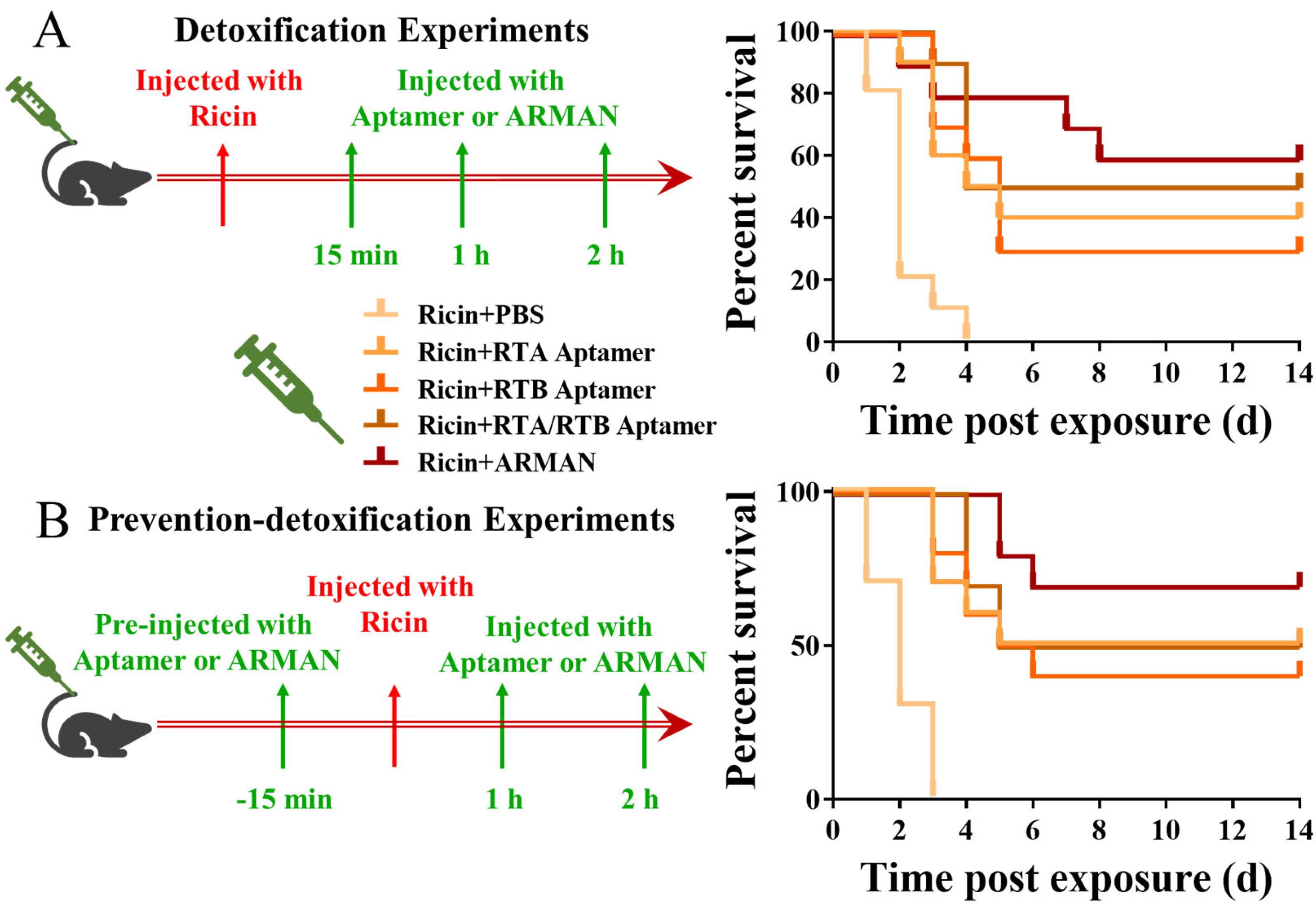 Pharmaceutics 16 01455 g007