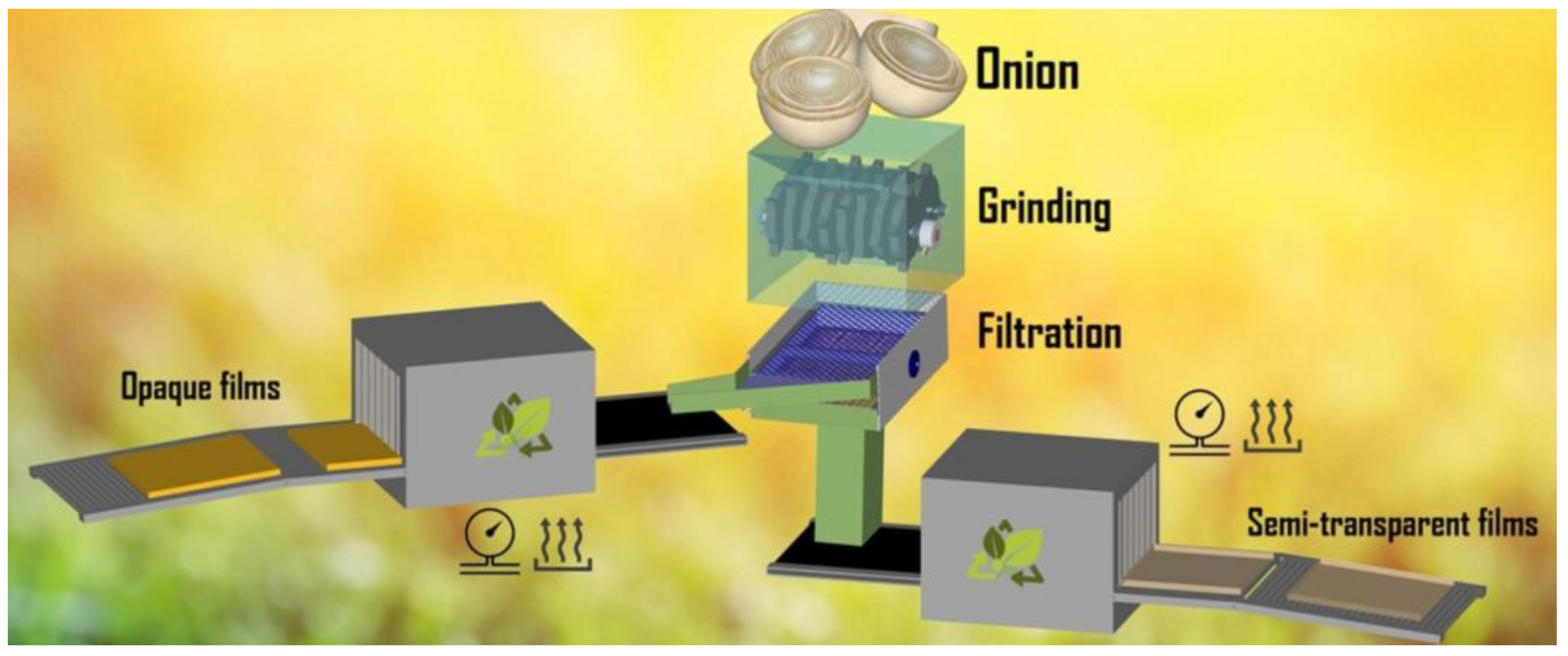 Pharmaceutics 16 01457 g001 Pharmaceutics 16 01457 g001