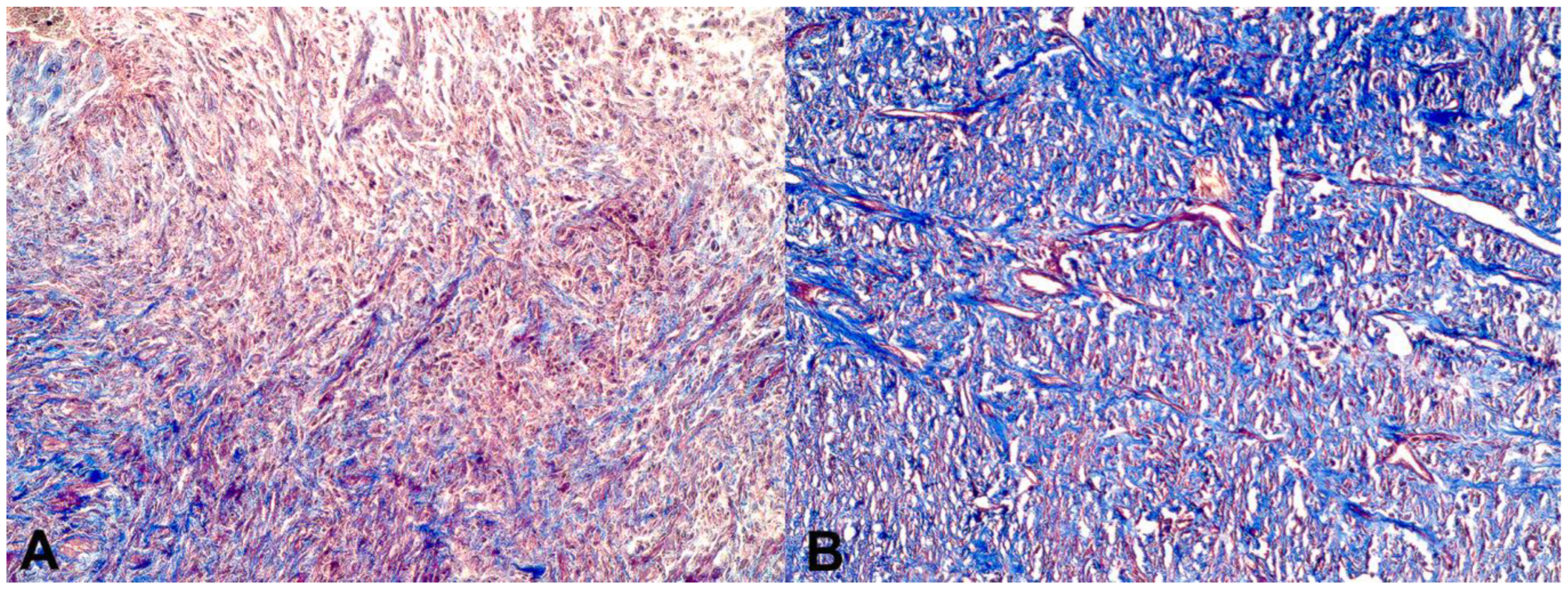 Pharmaceutics 16 01457 g007 Pharmaceutics 16 01457 g007