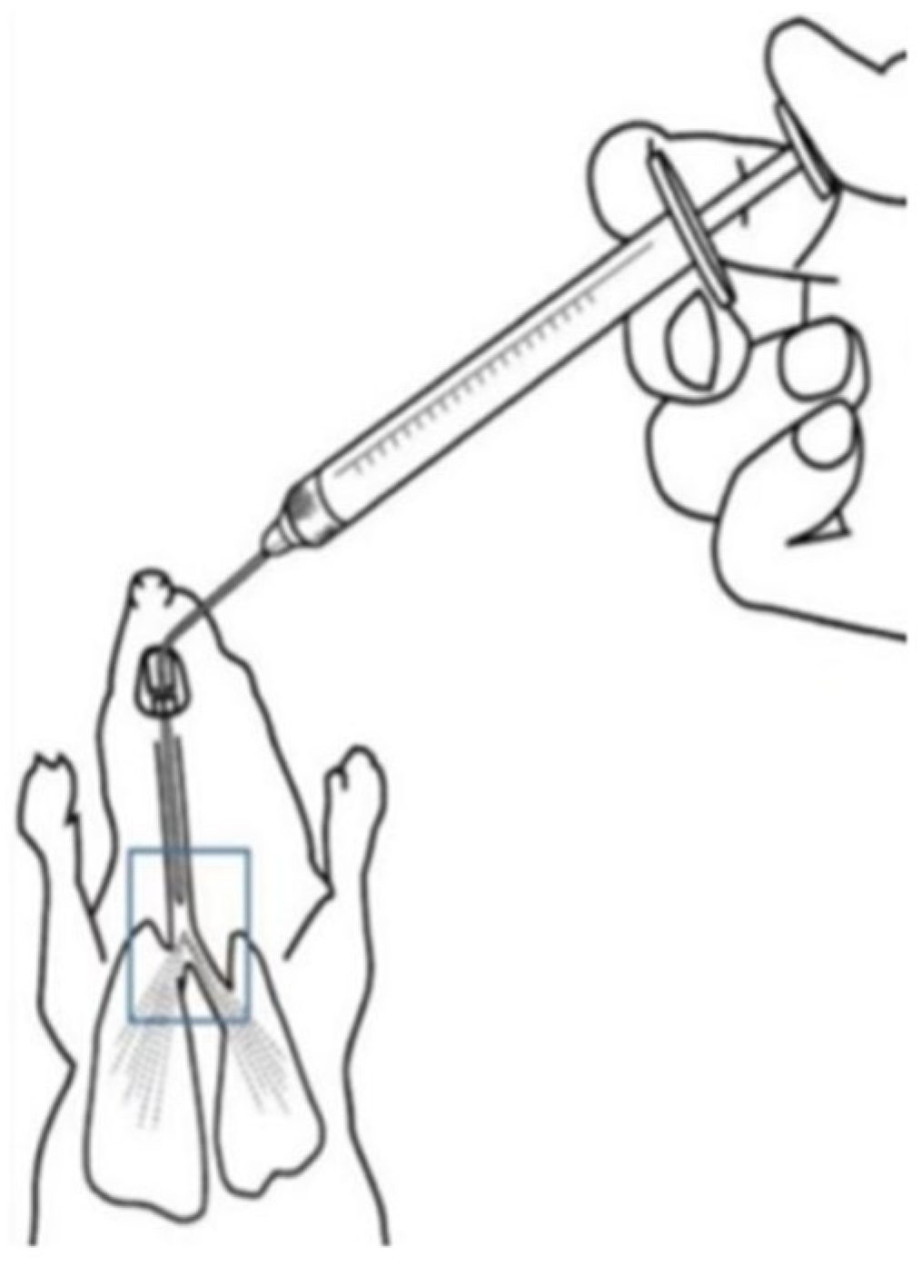 Pharmaceutics 16 01459 g001