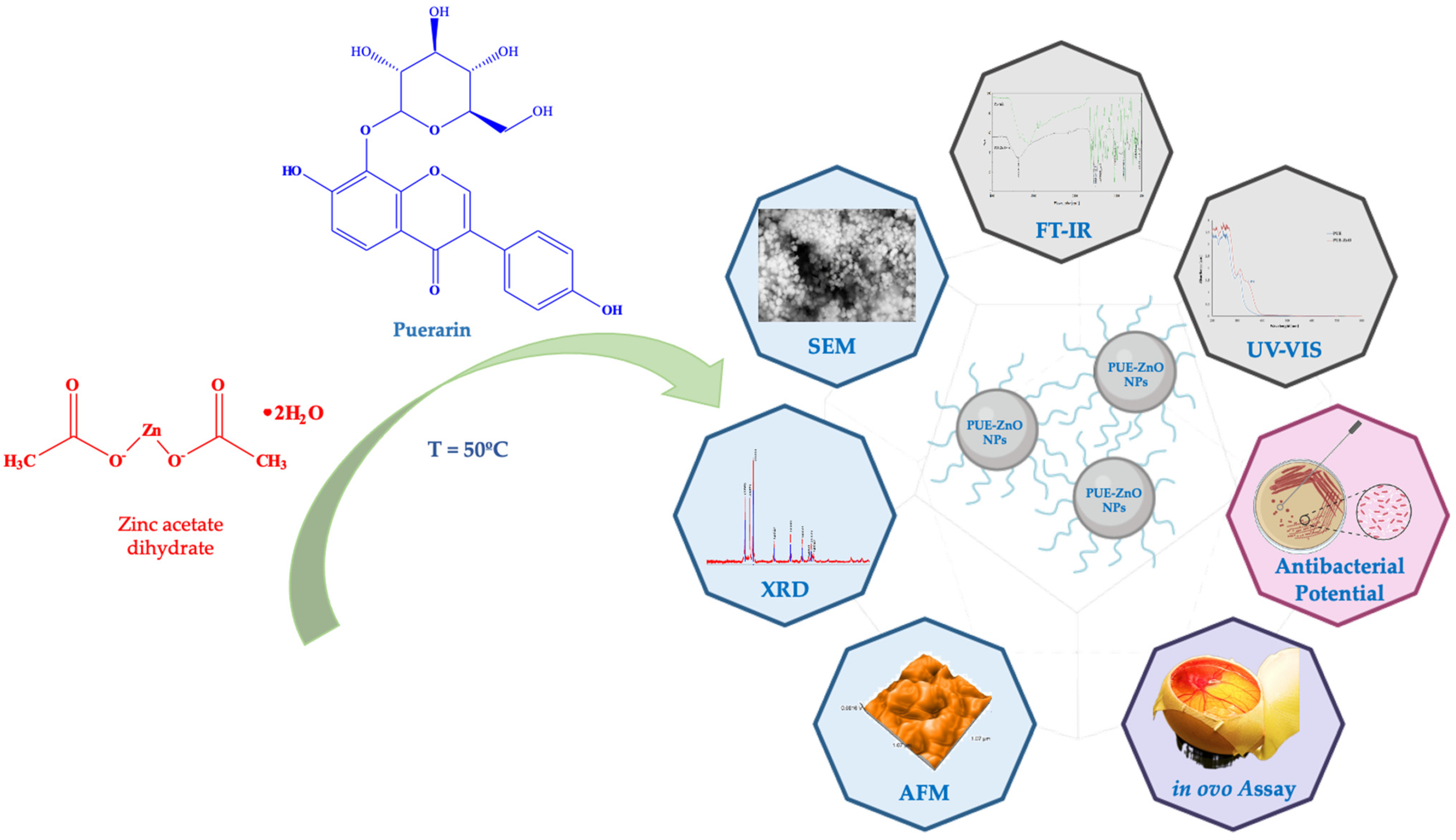 Pharmaceutics 16 01464 g001