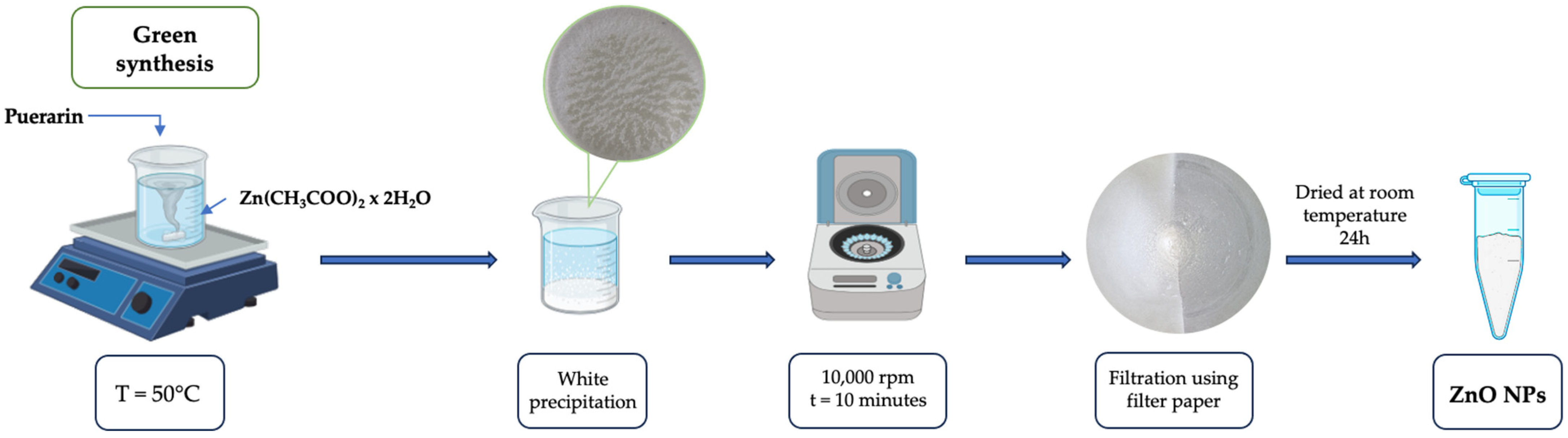 Pharmaceutics 16 01464 g002