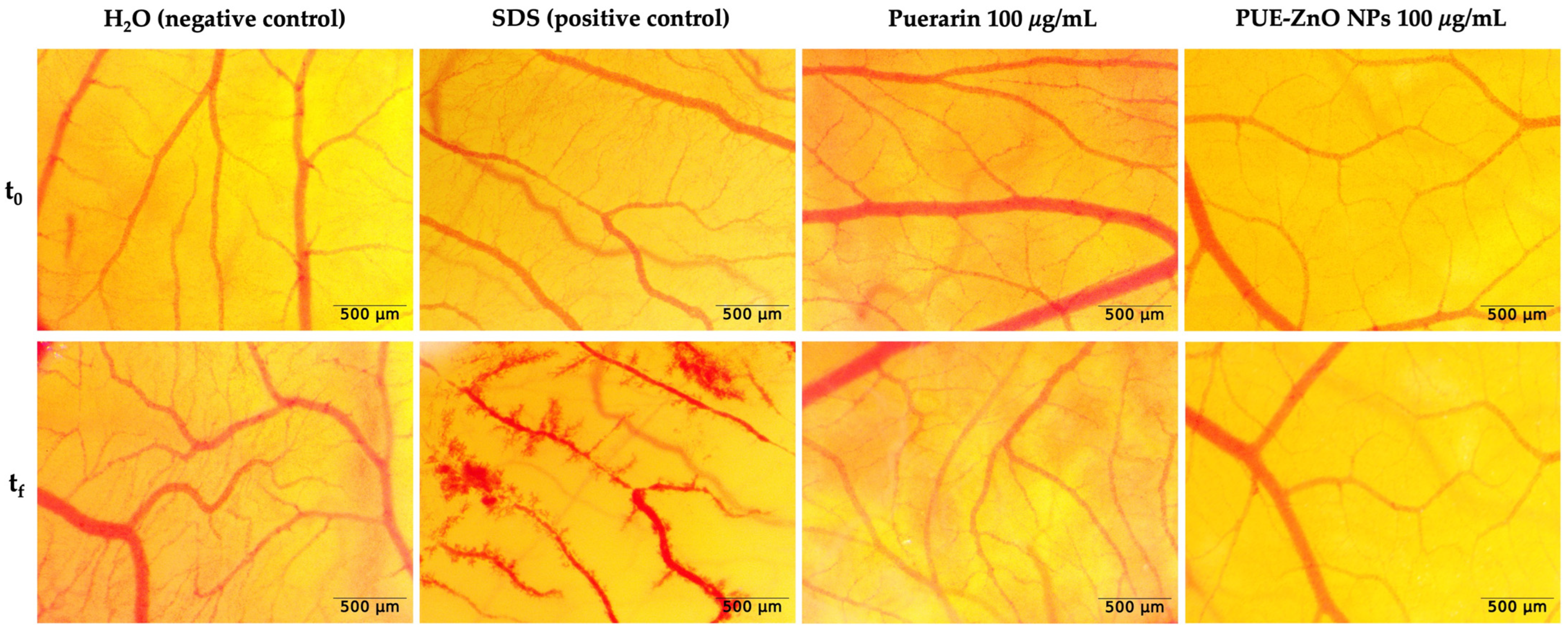Pharmaceutics 16 01464 g009