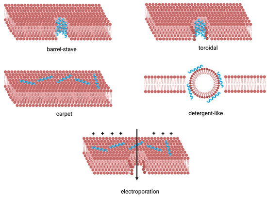 mode:models 写真集 Girls on Black Motorcycle | TikTok