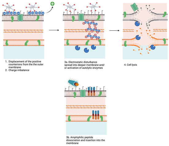 Peptide-Based Biomaterials for Combatting Infections and