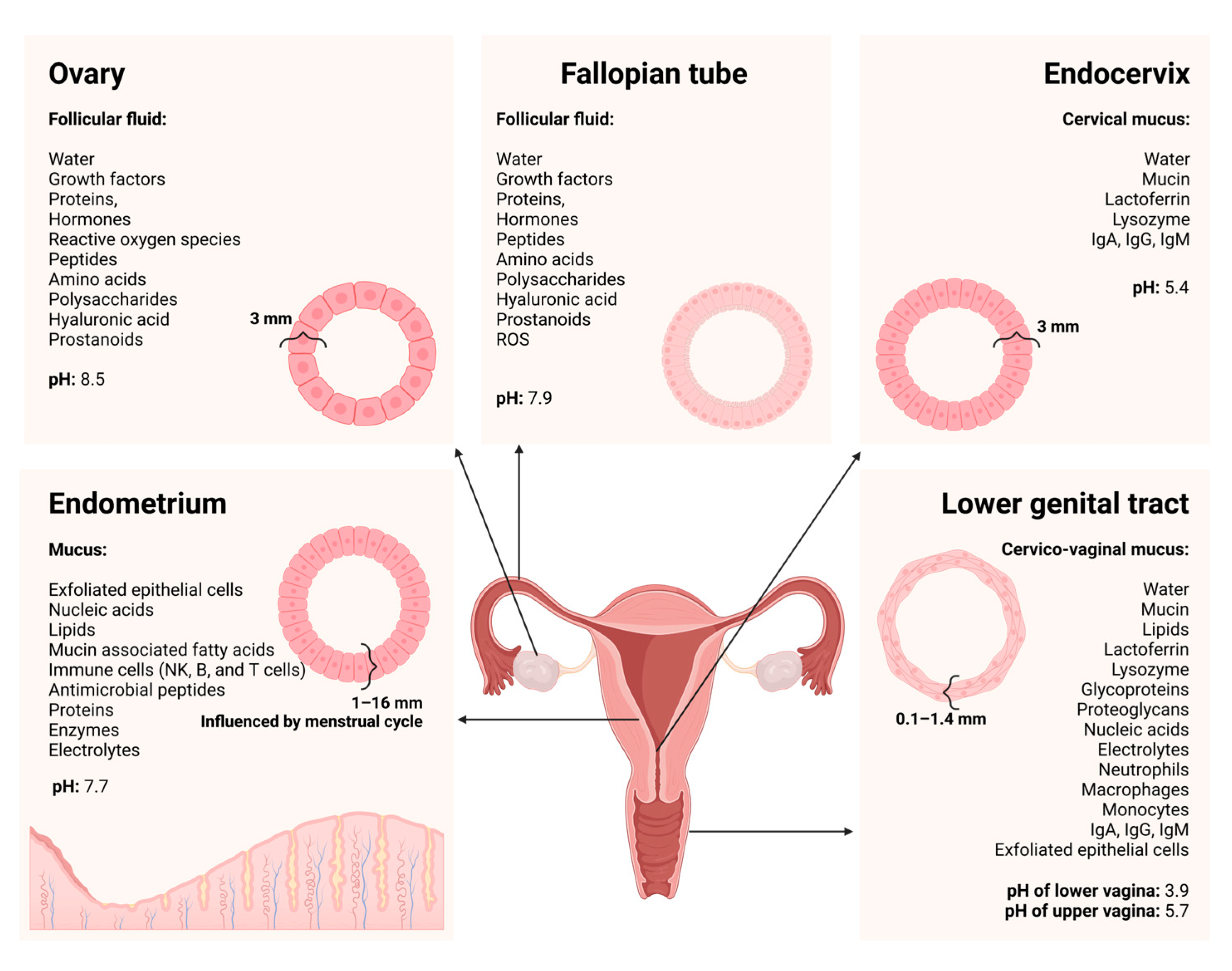 The Application of Nano Drug Delivery Systems in Female