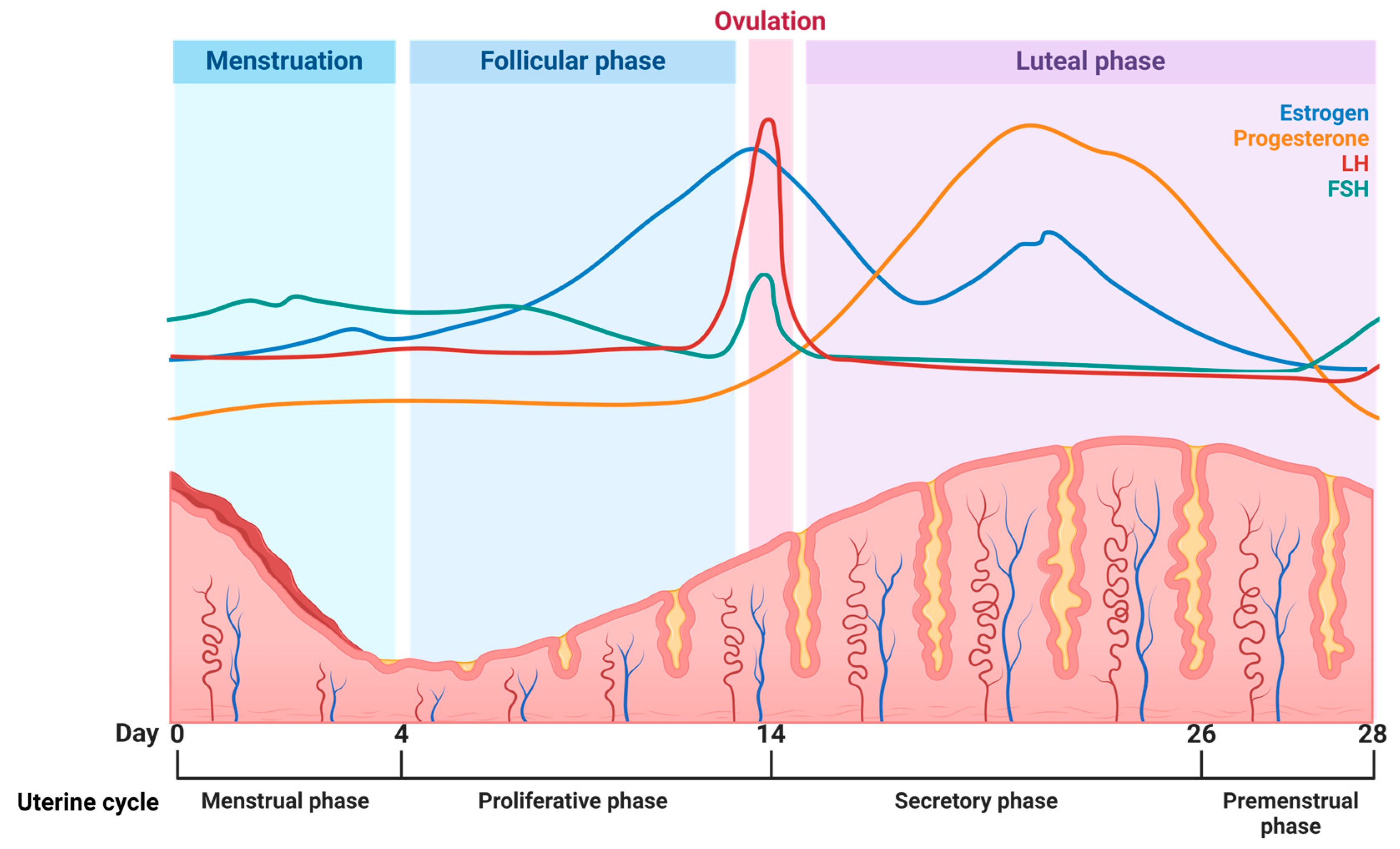 Pharmaceutics 16 01475 g003