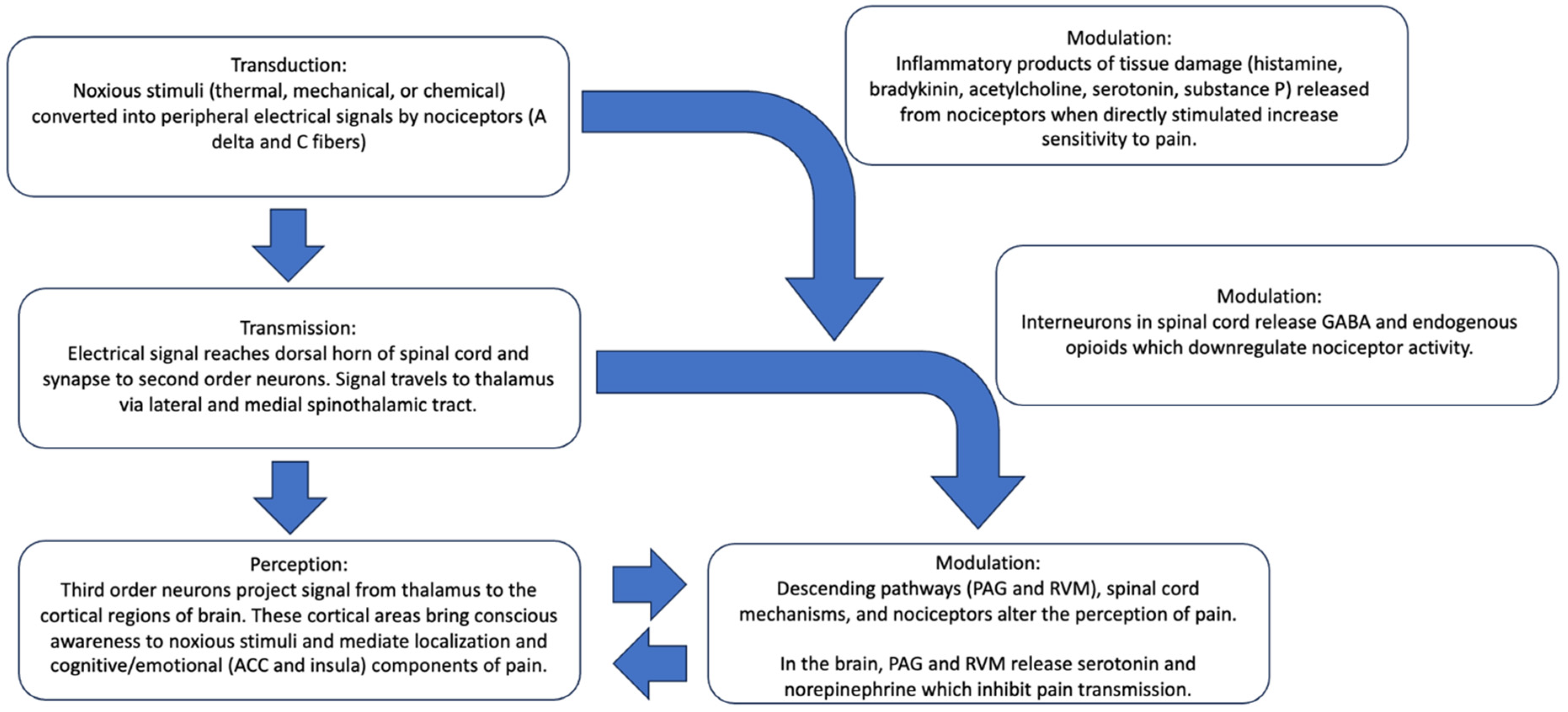 Pharmaceutics 16 01479 g001