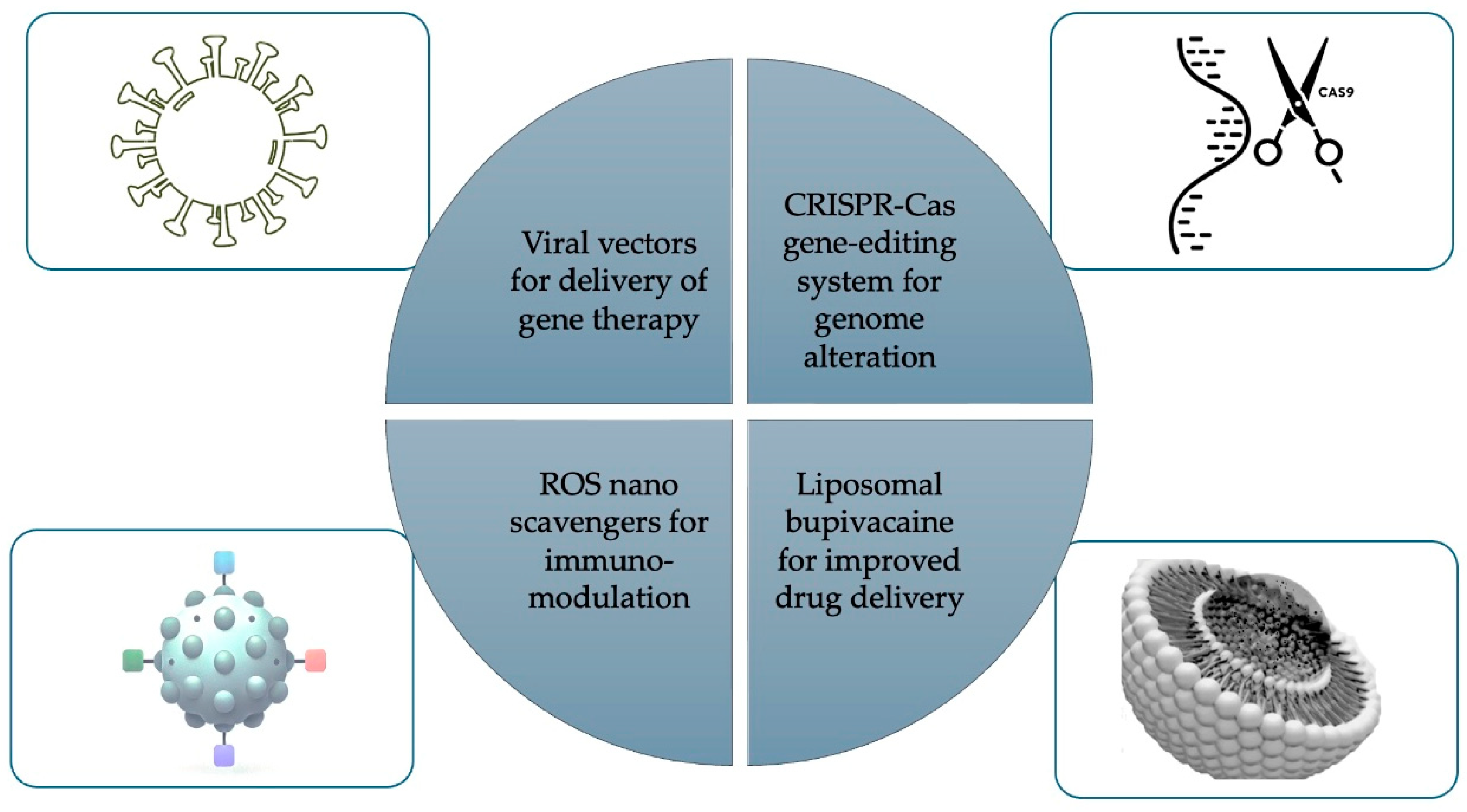 Pharmaceutics 16 01479 g002