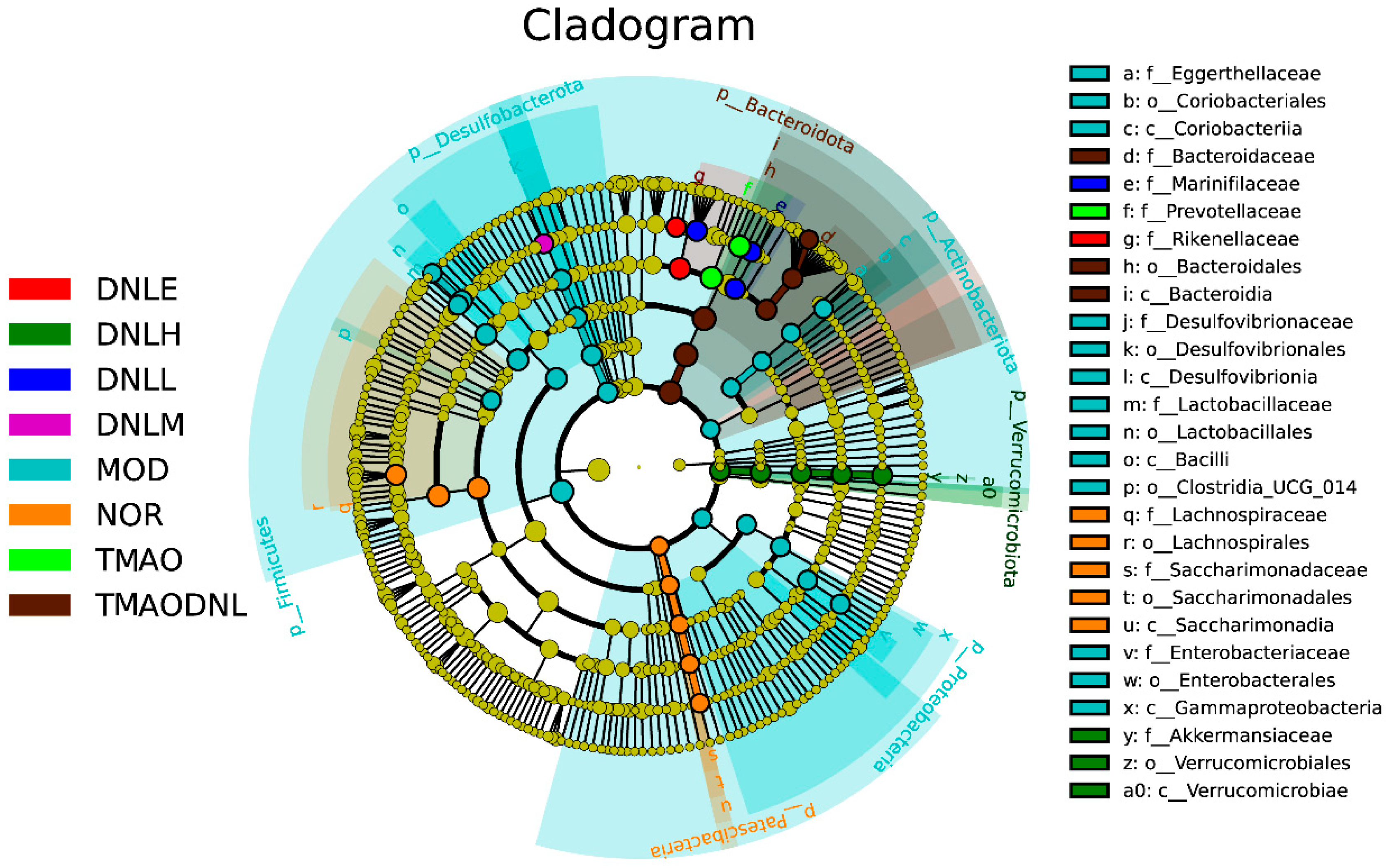 Pharmaceutics 16 01483 g015